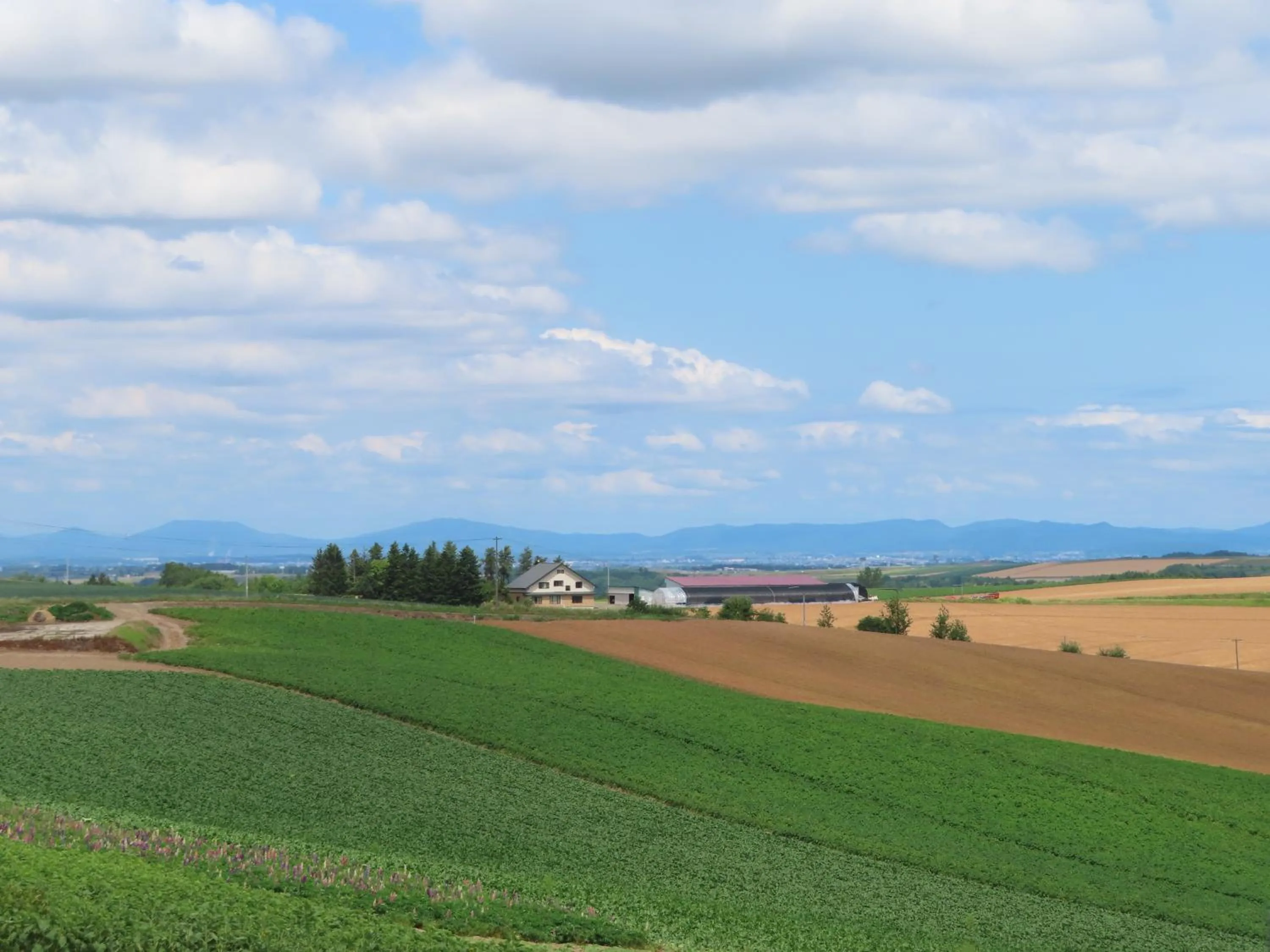 Off site in B&B Ken&Mary