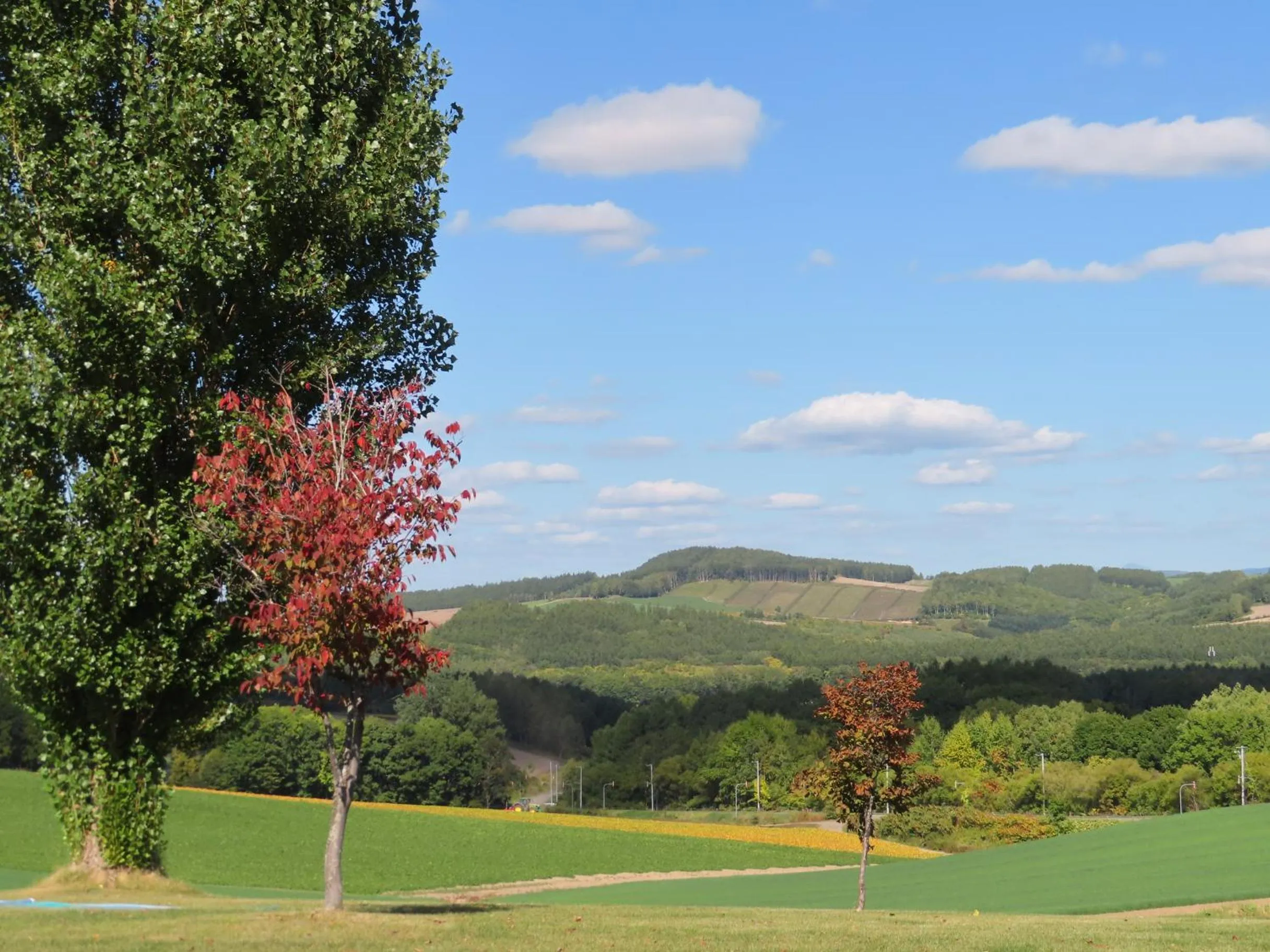 Natural landscape in B&B Ken&Mary