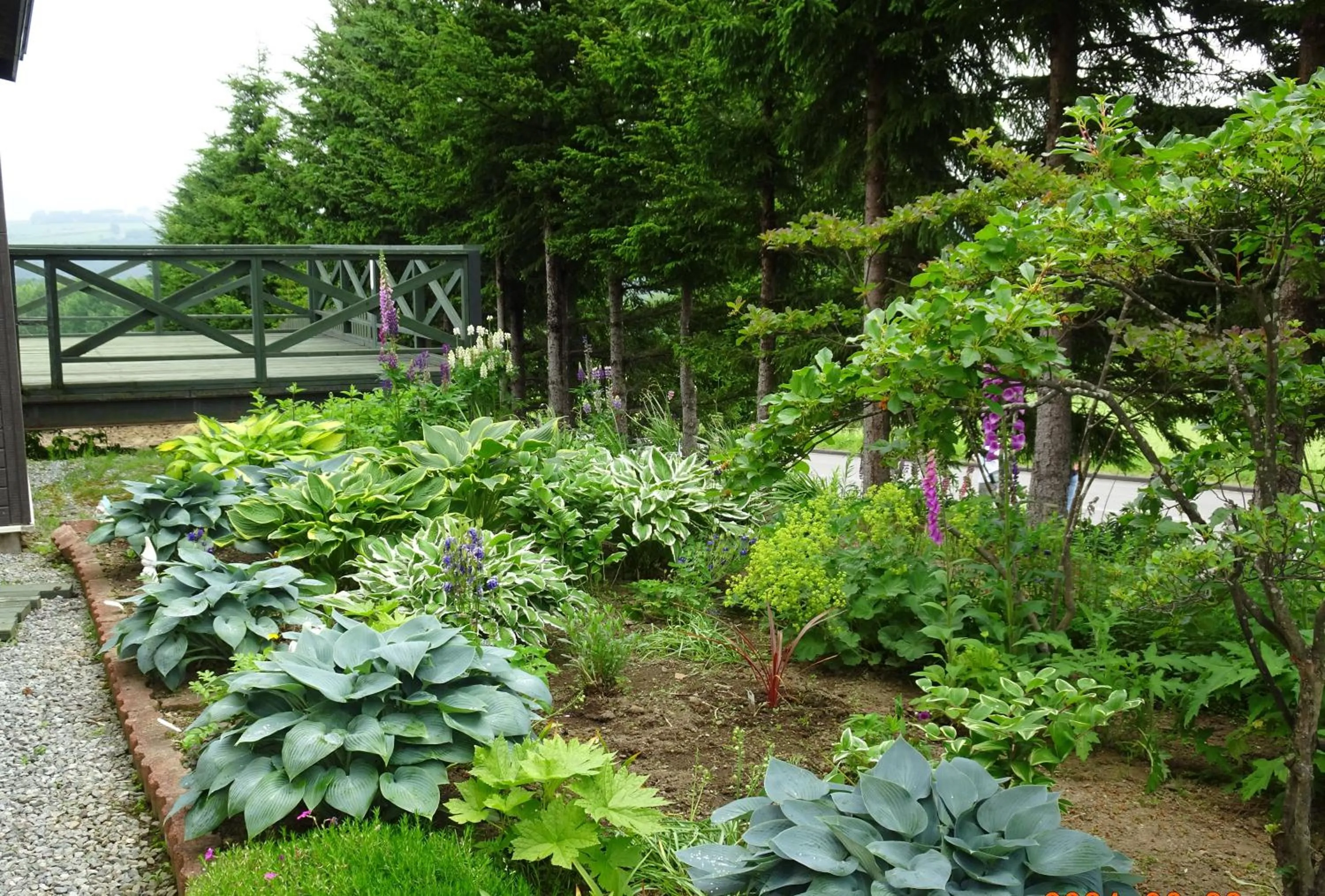 Garden in B&B Ken&Mary
