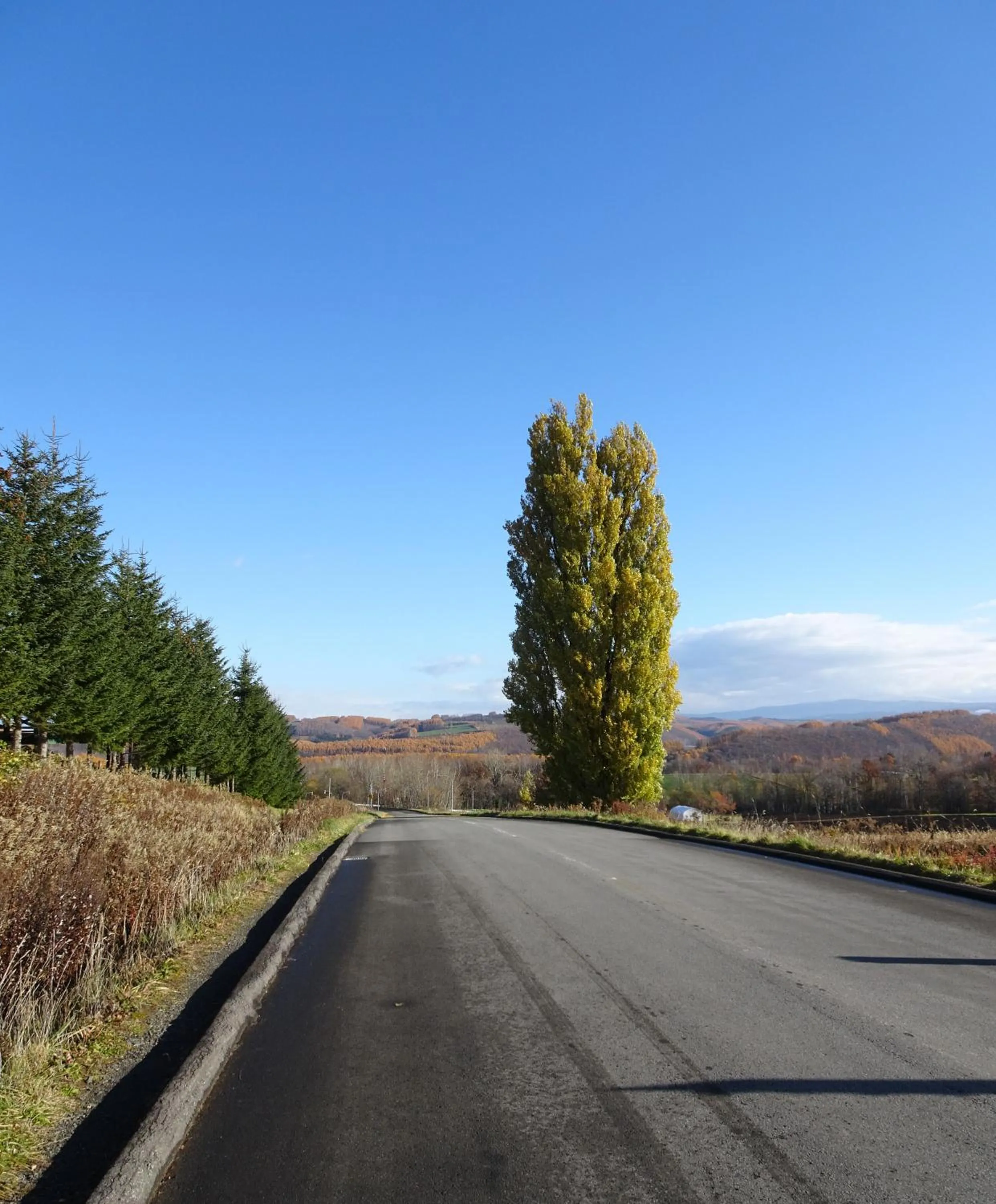 Nearby landmark in B&B Ken&Mary