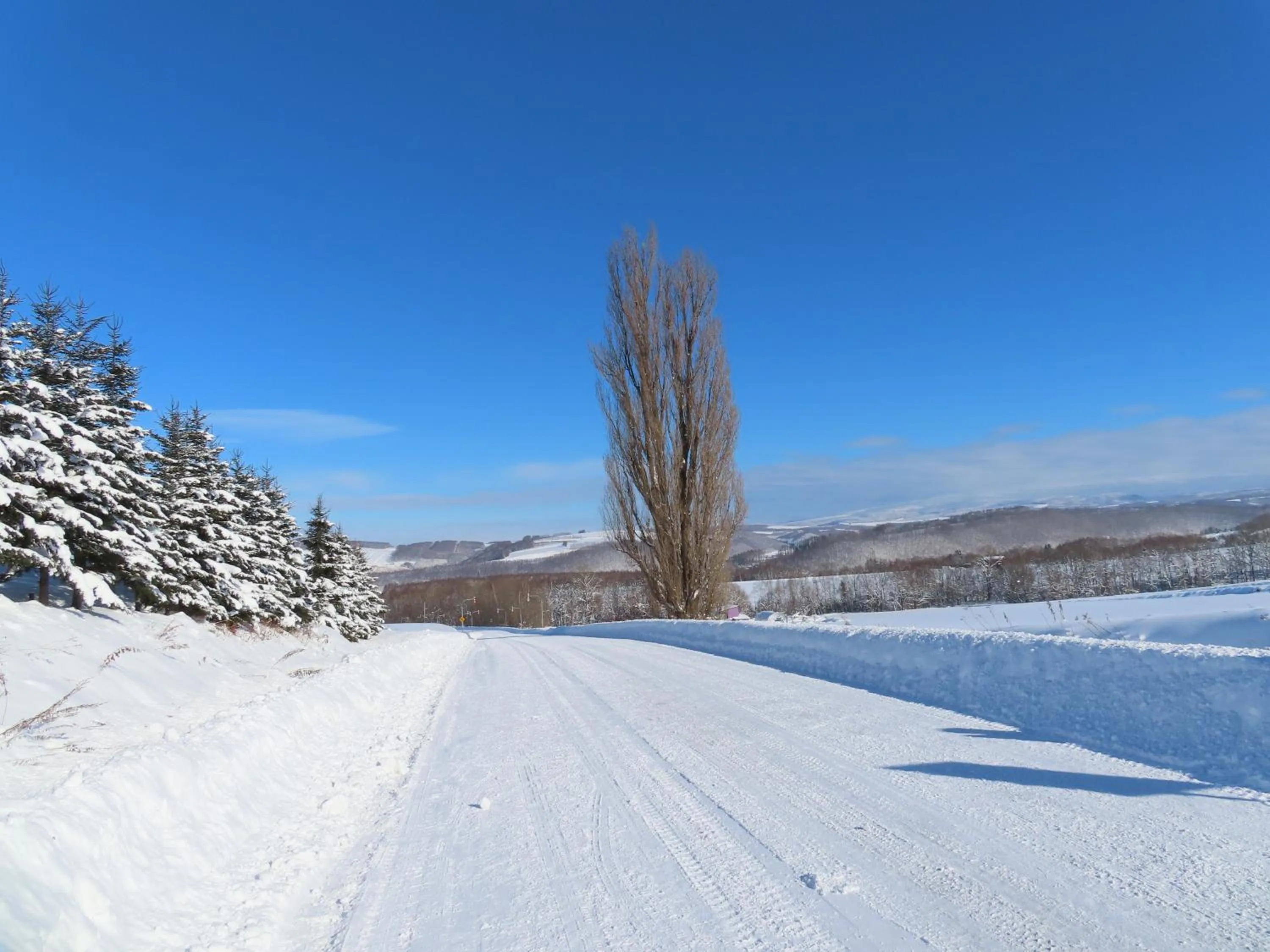 Nearby landmark in B&B Ken&Mary