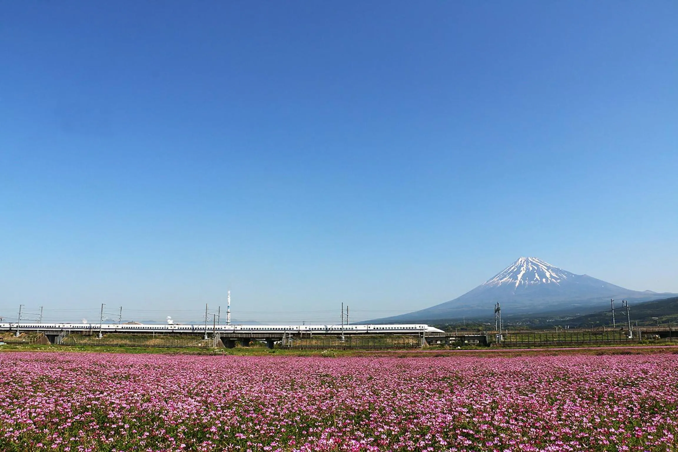 Spring in APA Hotel Shinjuku Kabukicho Tower