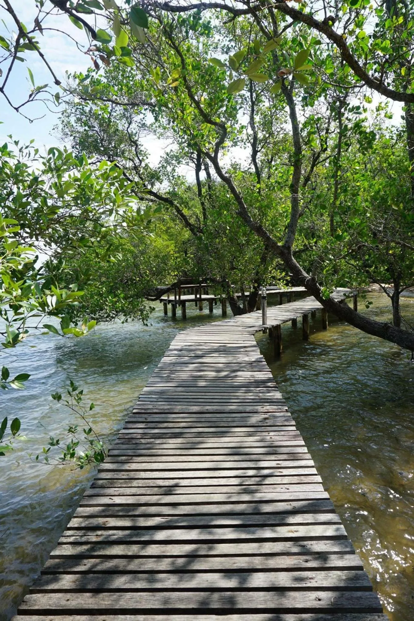 Seashell Village Resort