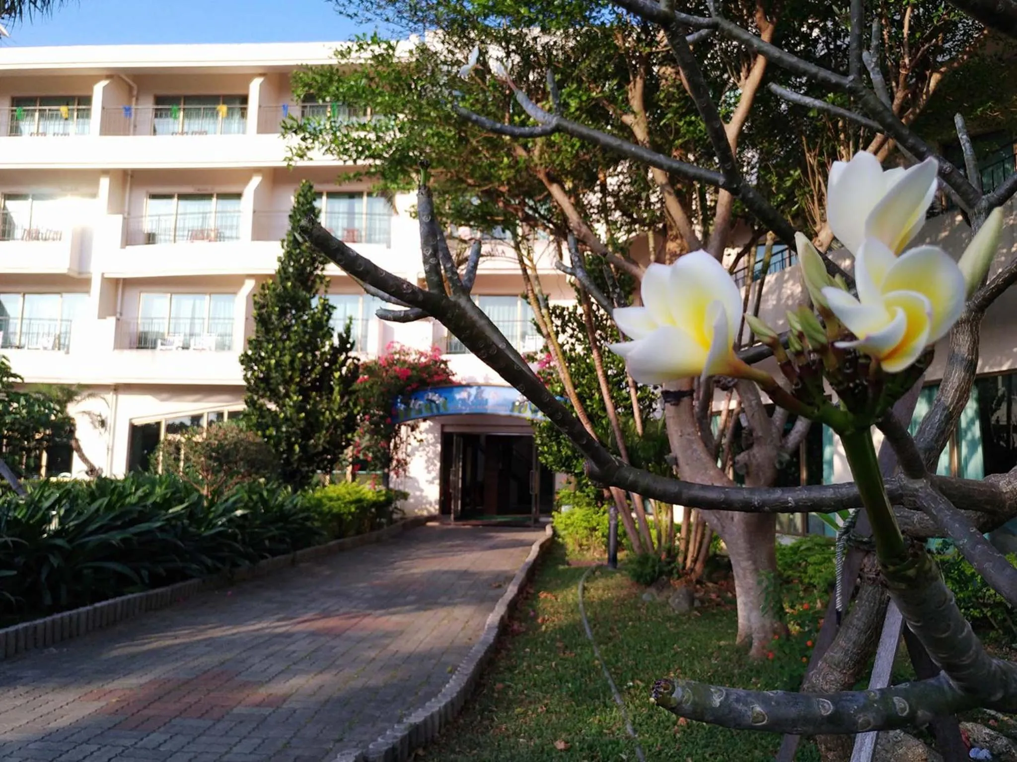 Garden view in Howard Kenting Wonder House