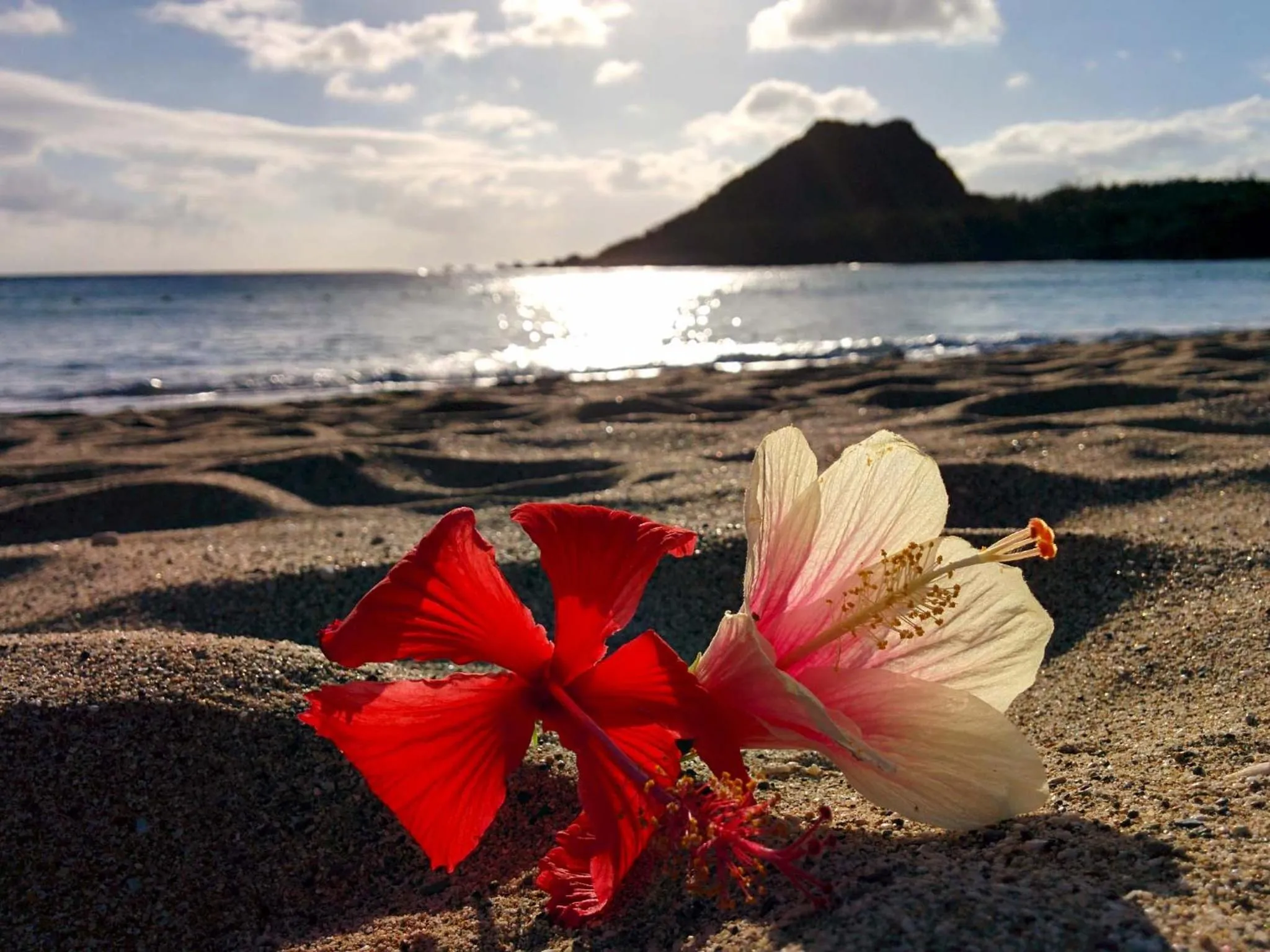Beach in Howard Kenting Wonder House