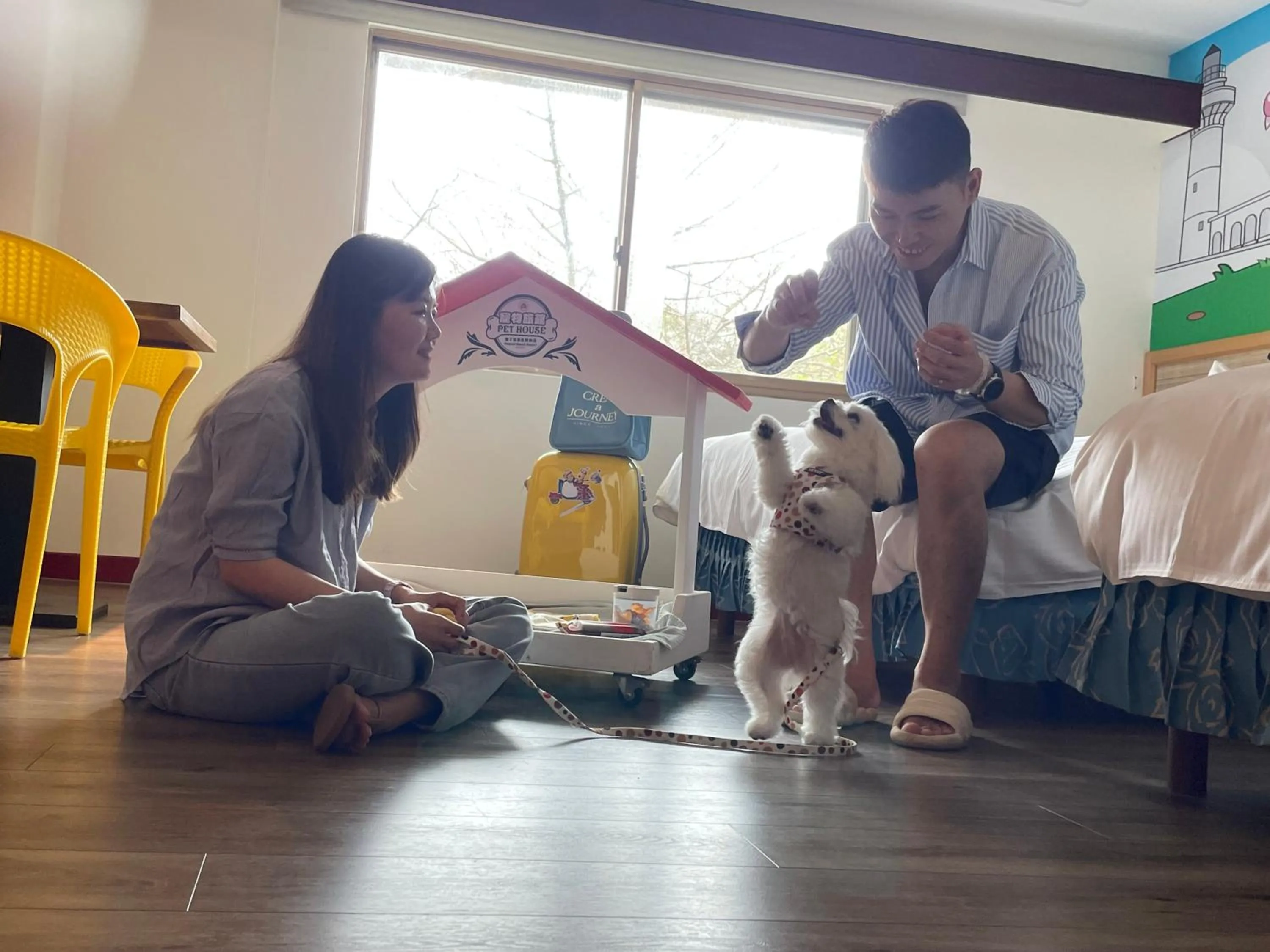 Pets in Howard Kenting Wonder House