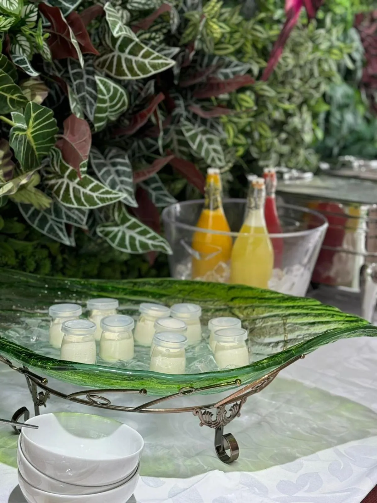 Drinks in Hotel Florença