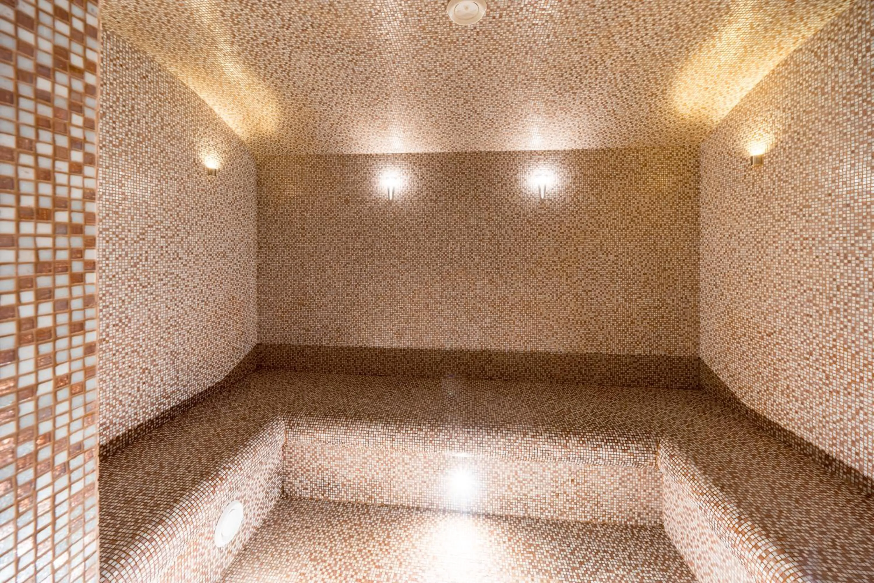 Sauna in Wellton Riga Hotel & SPA