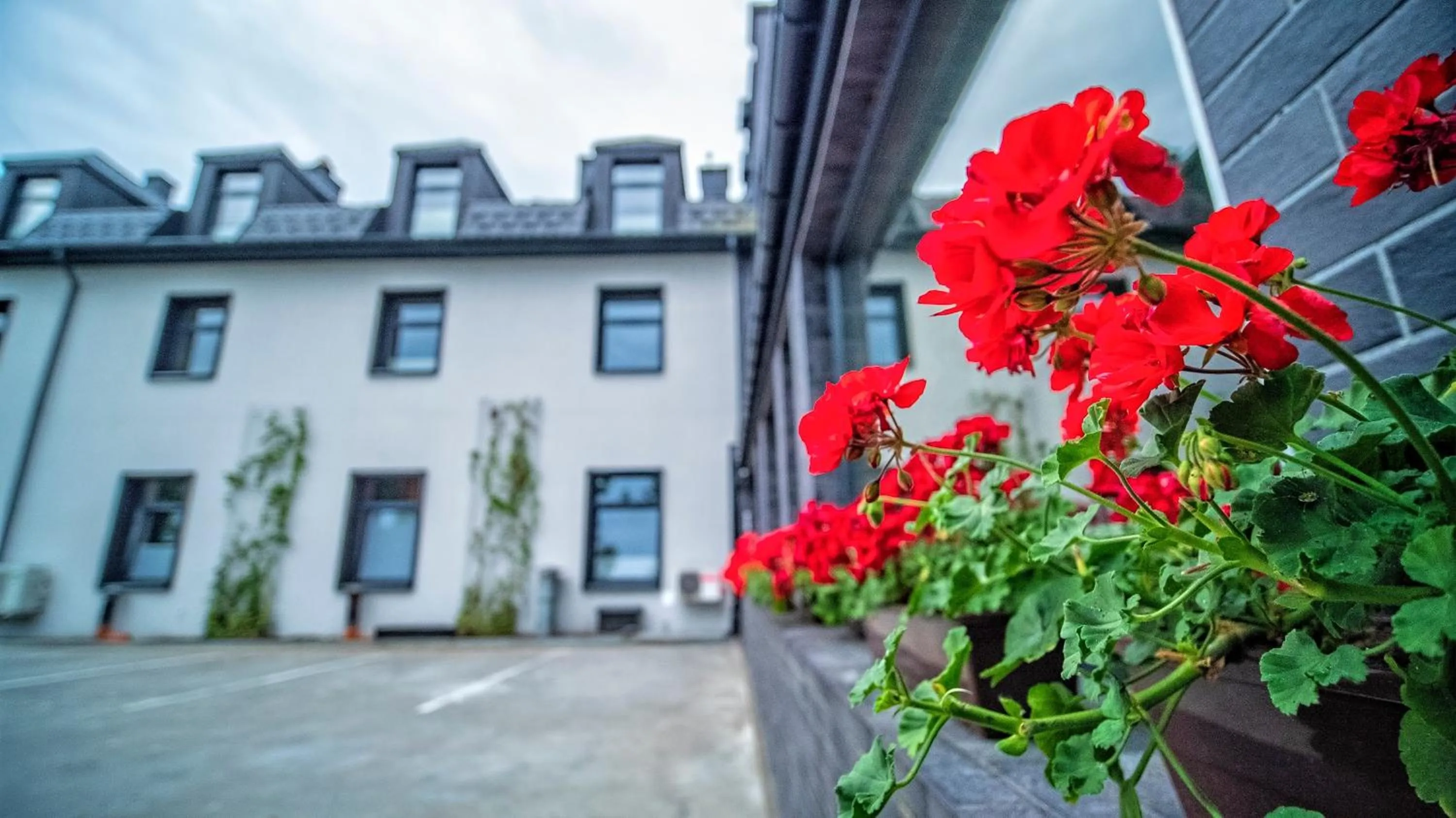 Property building in Hotel Senator Konferencje & SPA