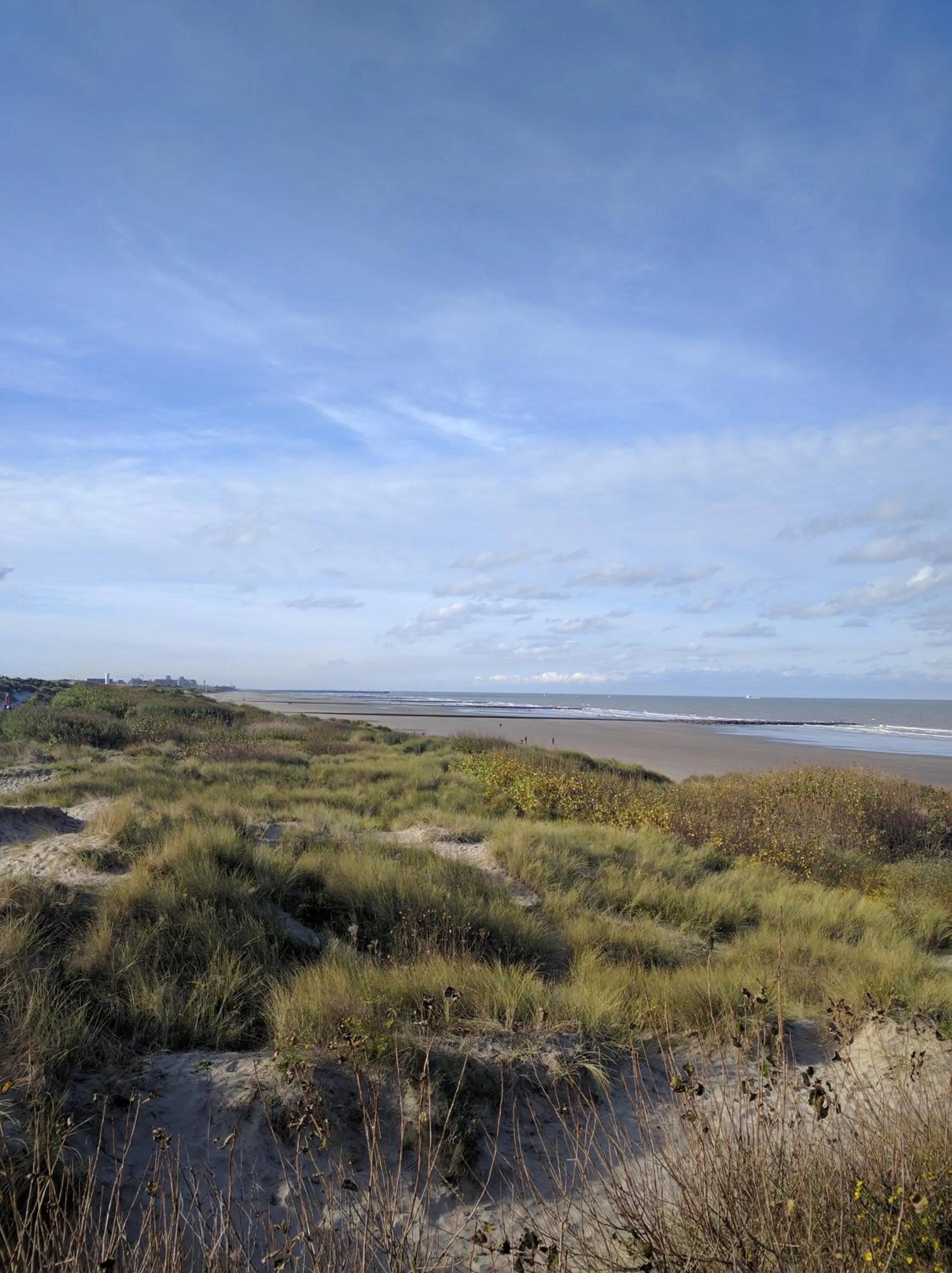 Natural landscape in B&B Vanloo