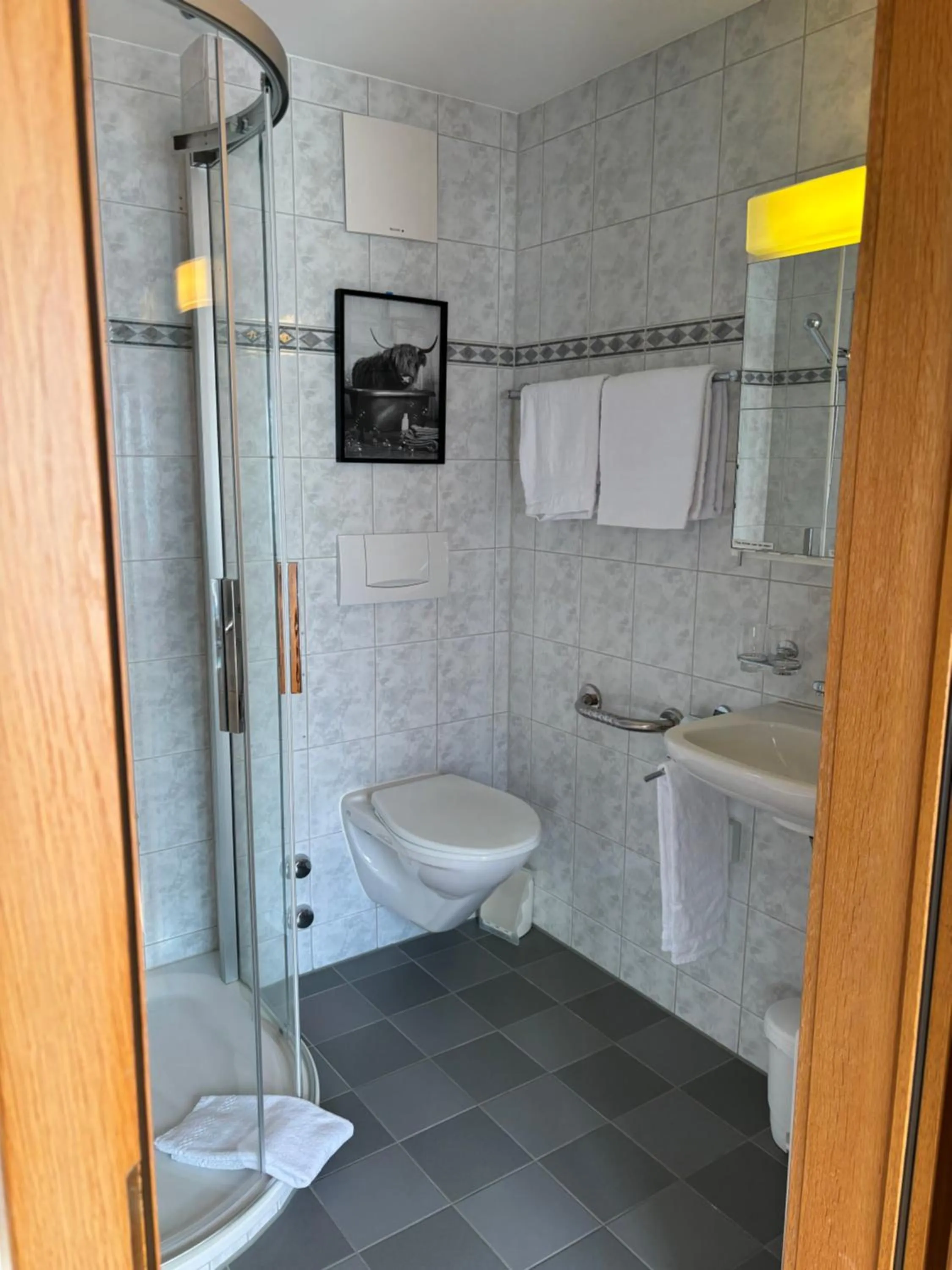 Bathroom in Alpina Boutique Hotel Interlaken - Ringgenberg - Adults only !