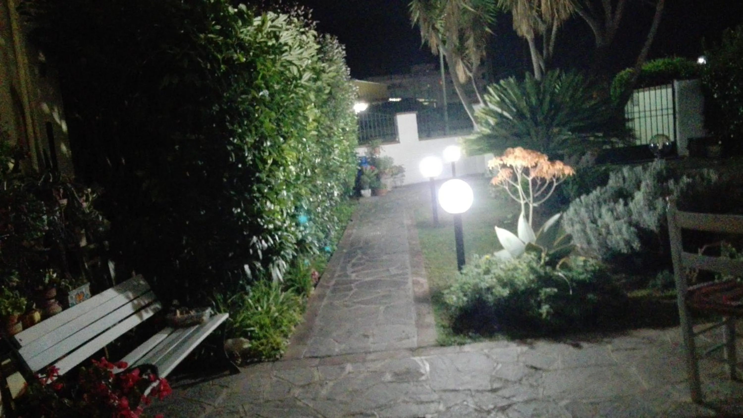 Garden in Casa Iovara