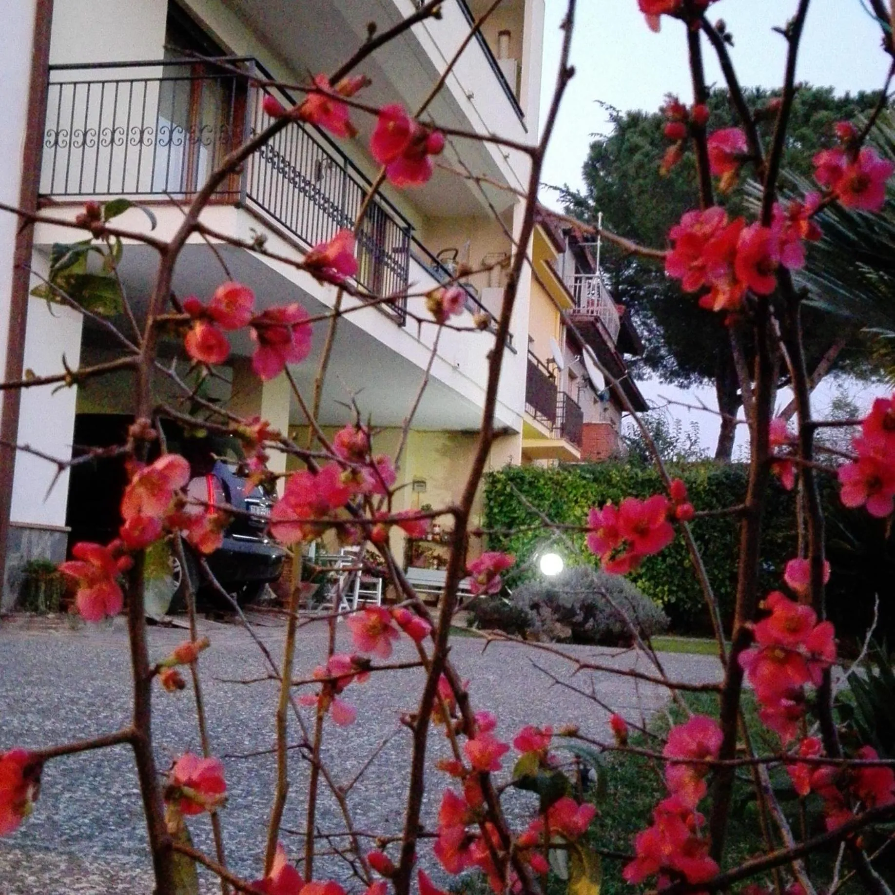 Property building in Casa Iovara