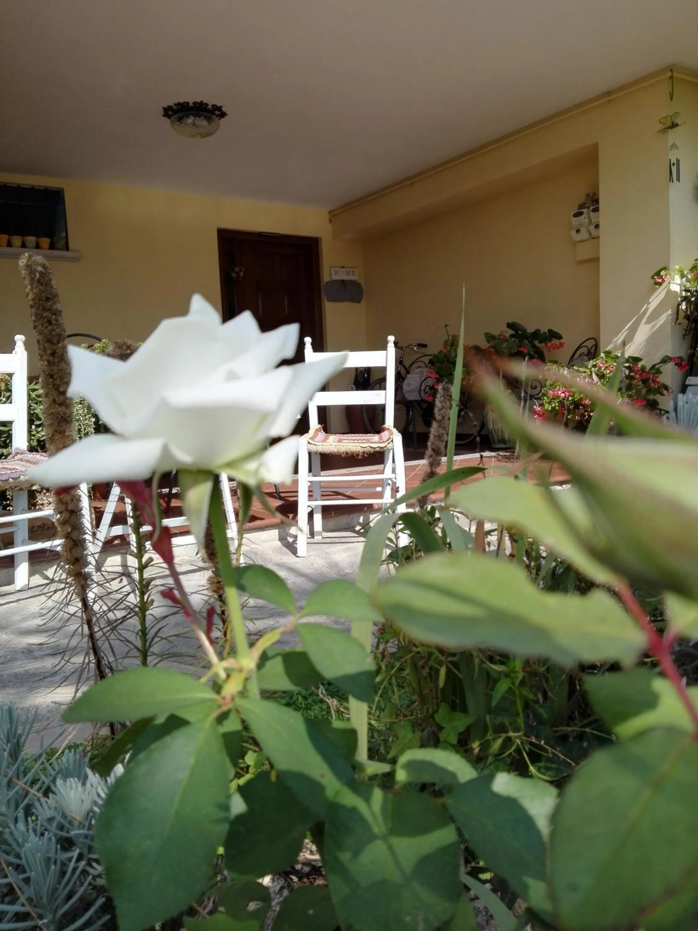 Patio in Casa Iovara