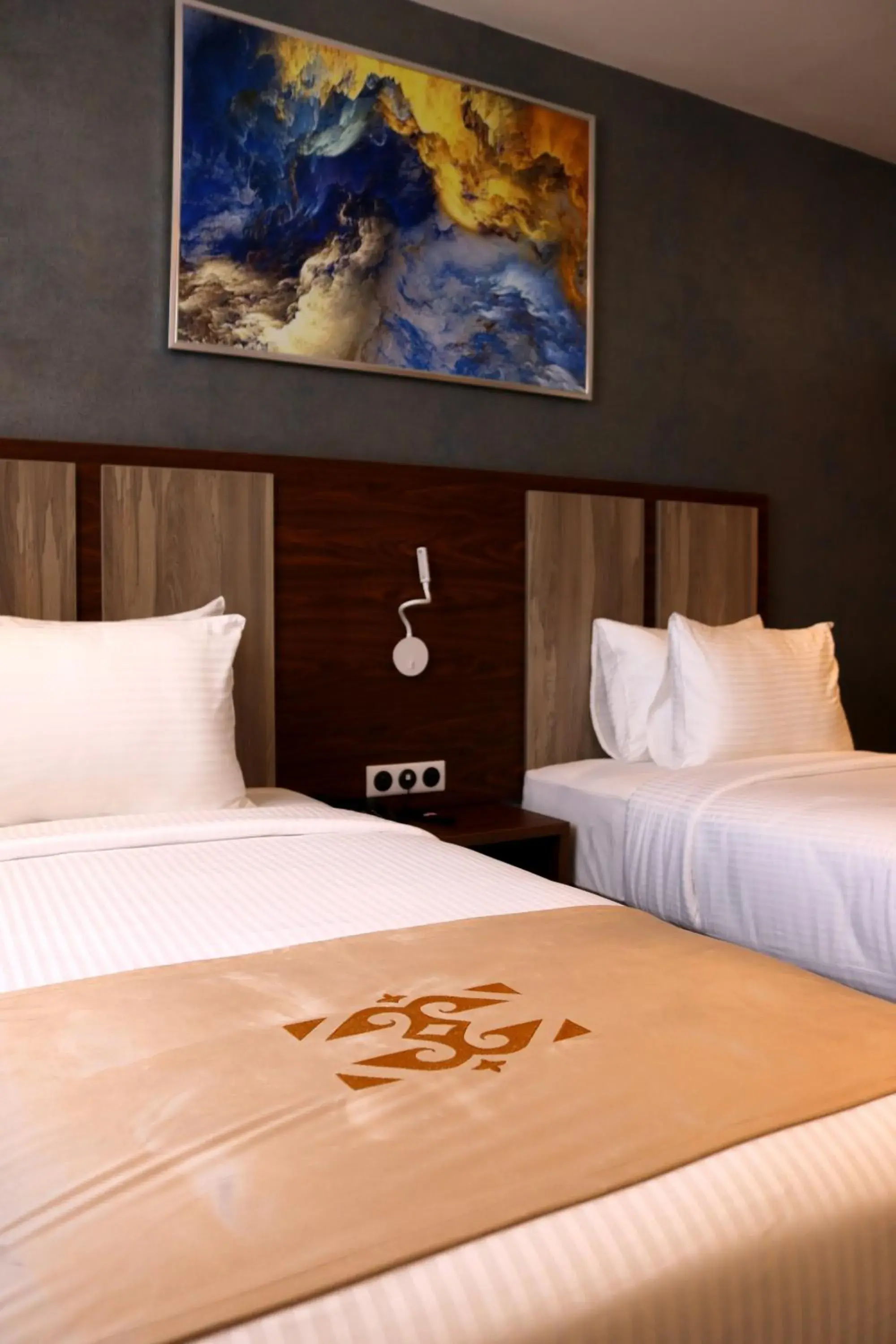 Deluxe Room - single occupancy in El Aziz Inn Deluxe Room - single occupancy in El Aziz Inn