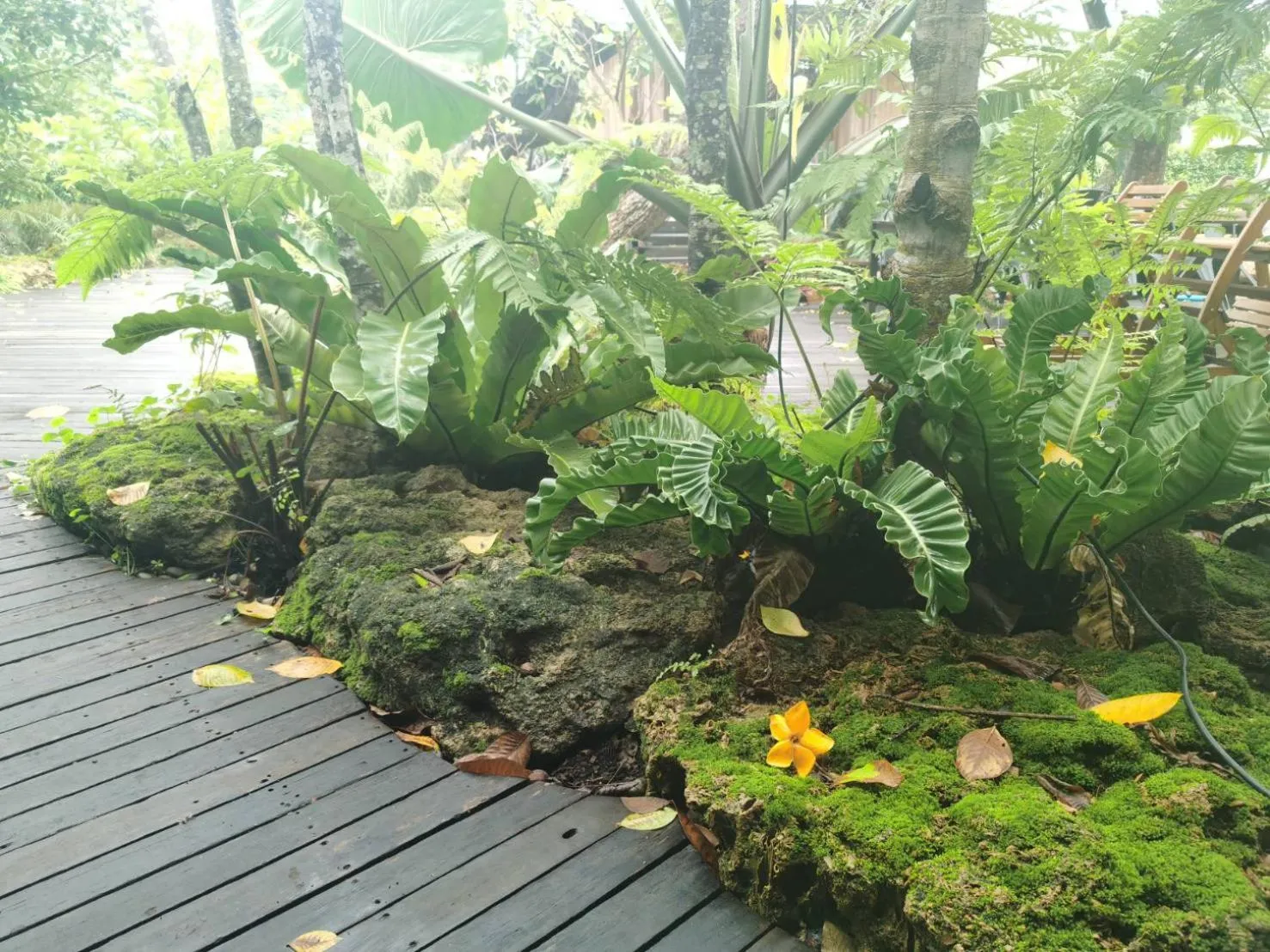 Restaurant/places to eat in Interpark Hotel & Residence, Eastern Seaboard Rayong