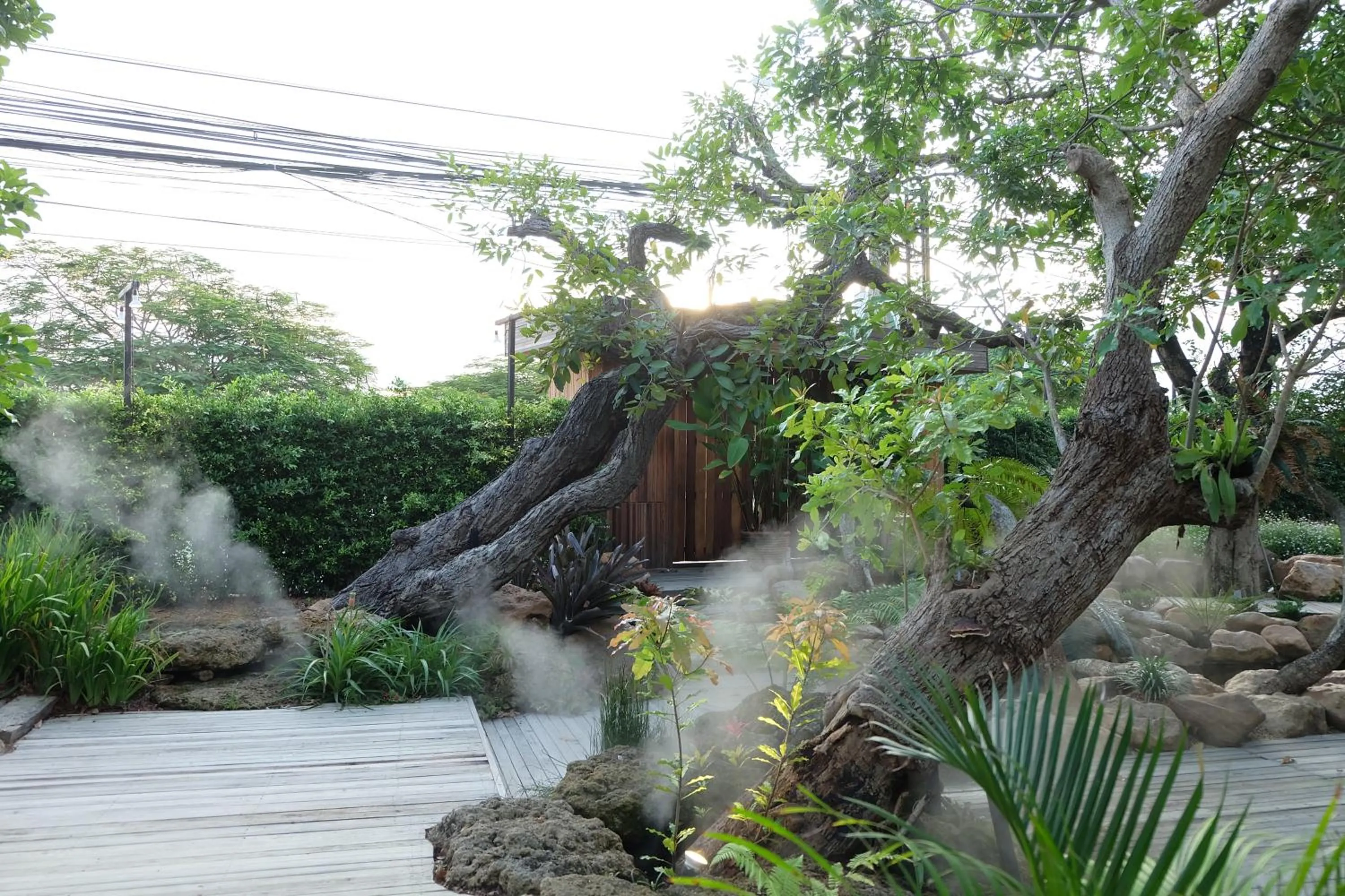 Natural landscape in Interpark Hotel & Residence, Eastern Seaboard Rayong