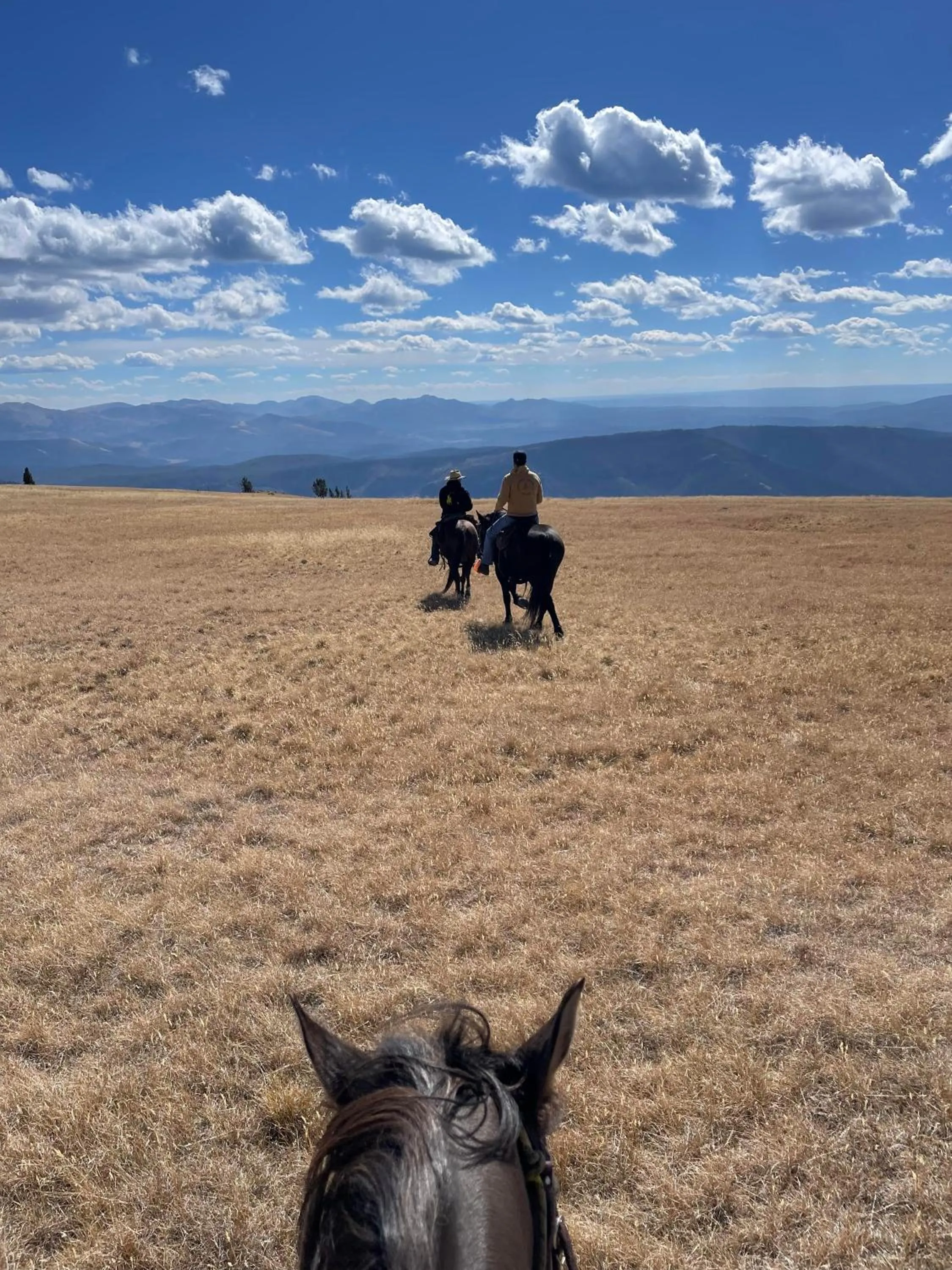 Horse-riding in Gravity Haus Big Sky