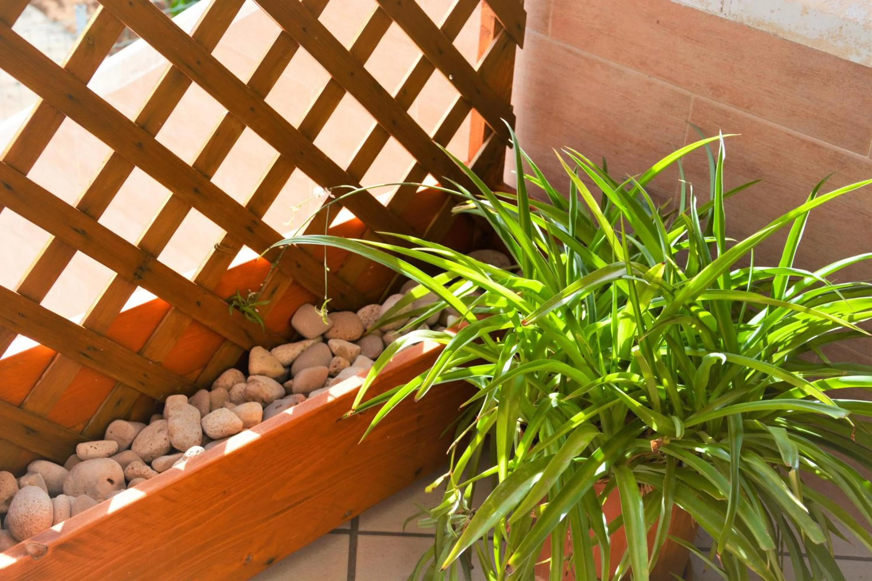 Balcony/Terrace in Salenterra B&B (Salento)