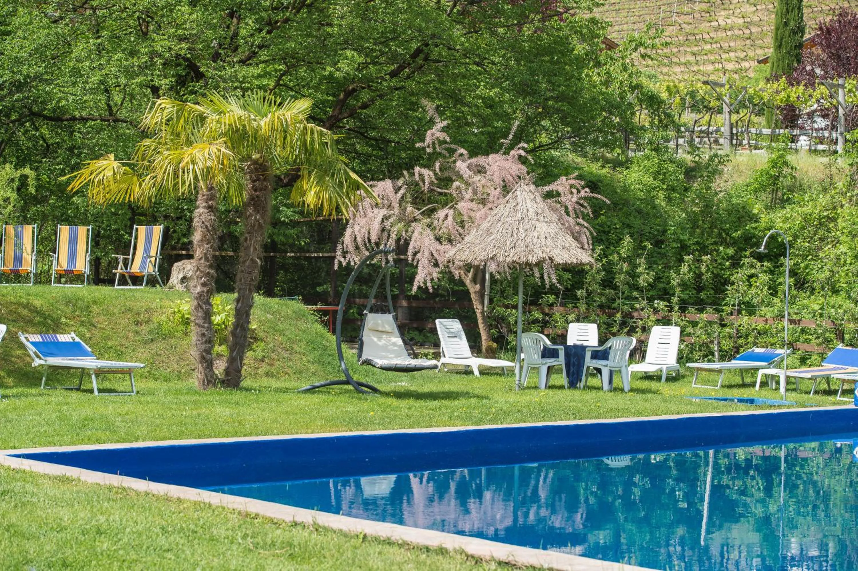 Swimming pool in Seeberg Garni Hotel