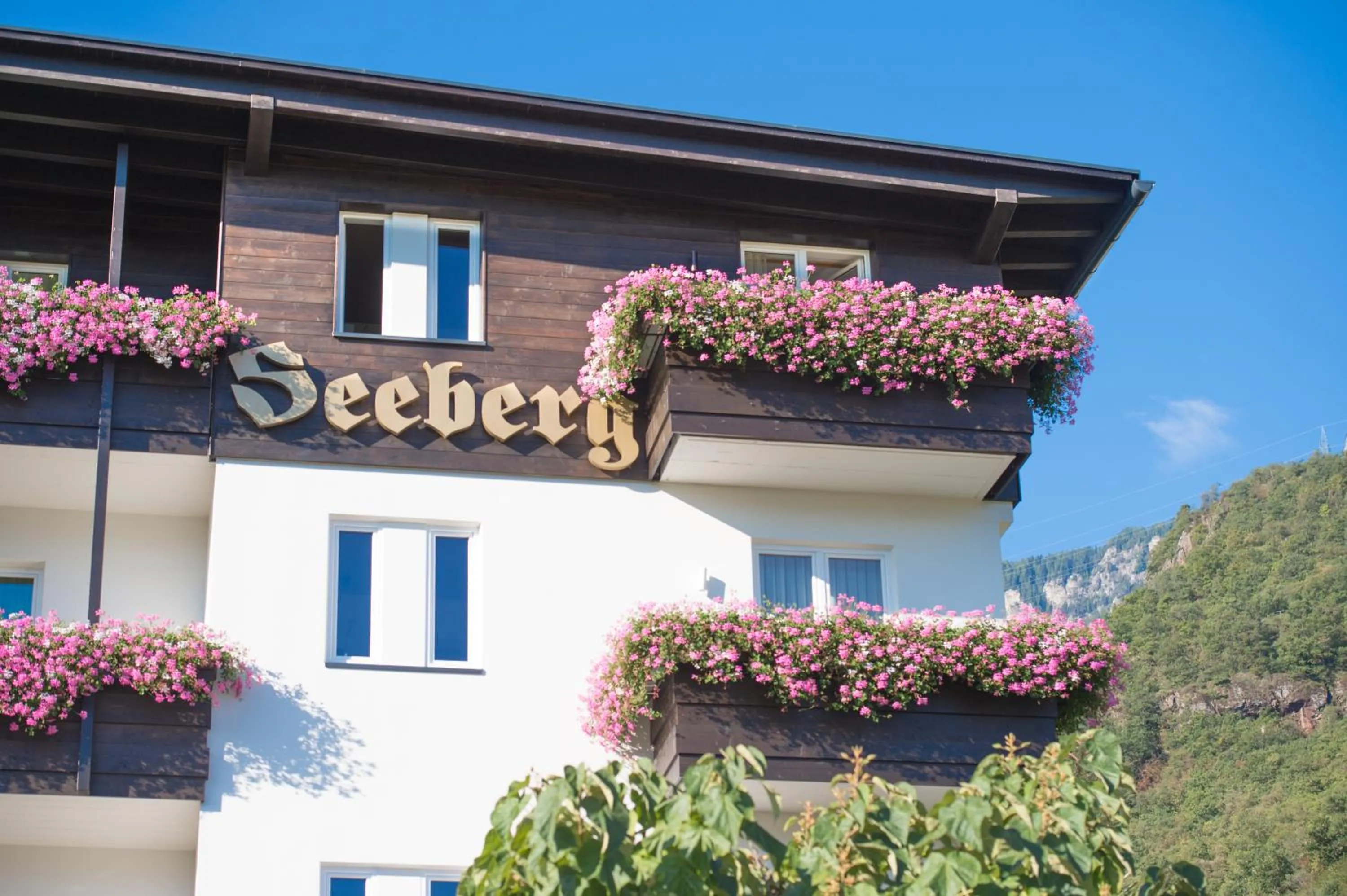 Natural landscape in Seeberg Garni Hotel