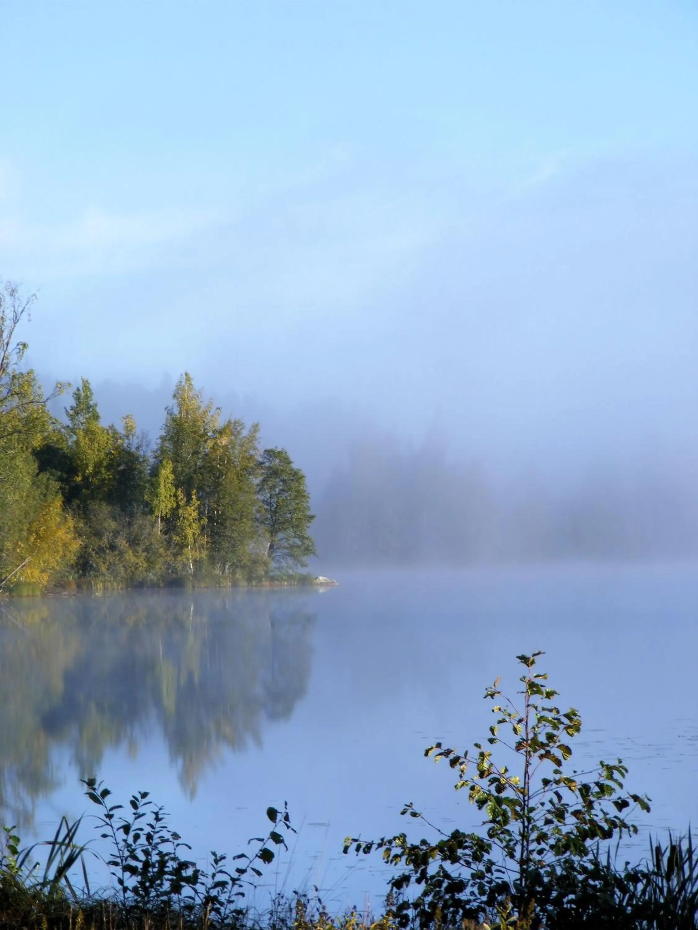Natural landscape in Färna Herrgård & Spa