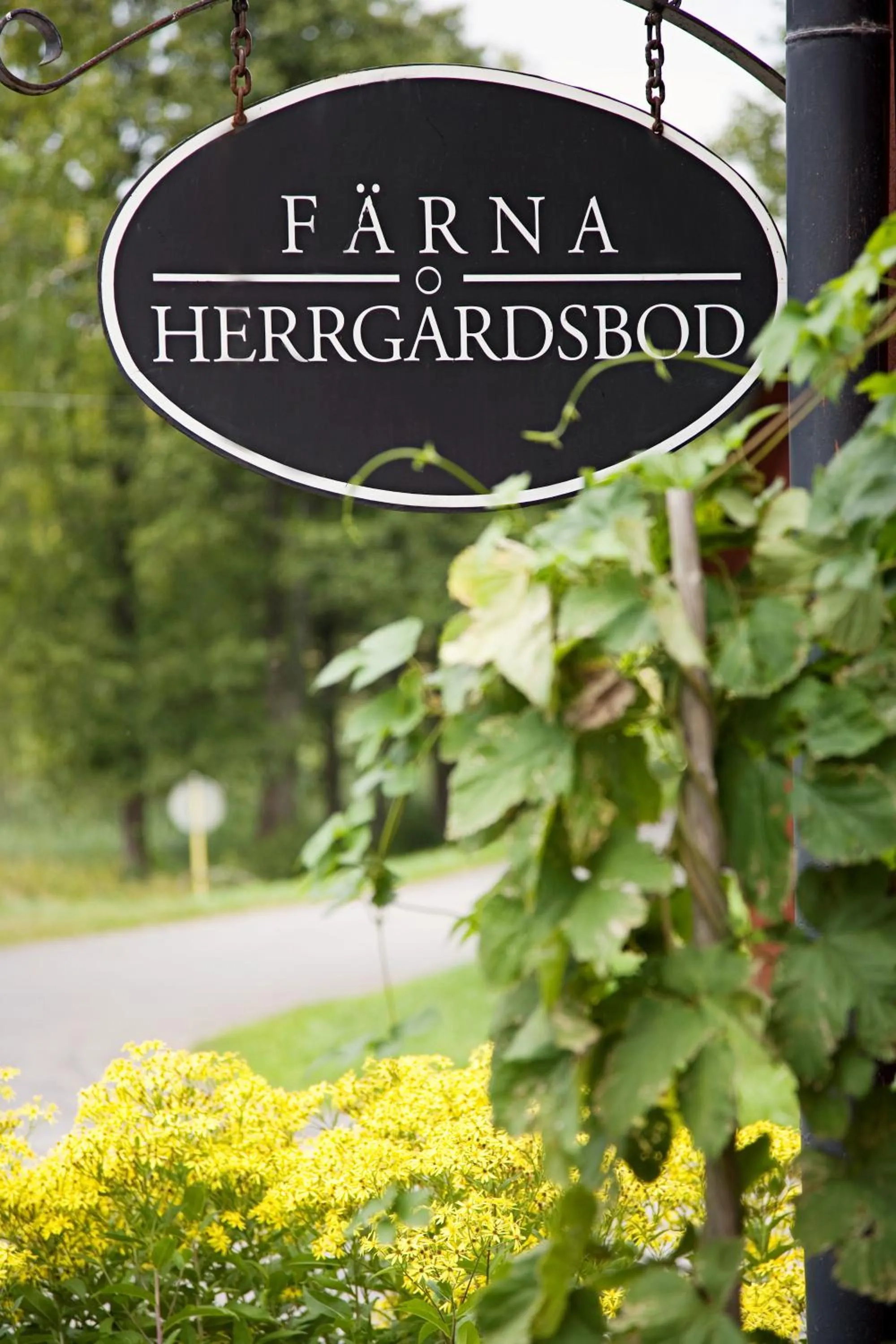 Activities in Färna Herrgård & Spa