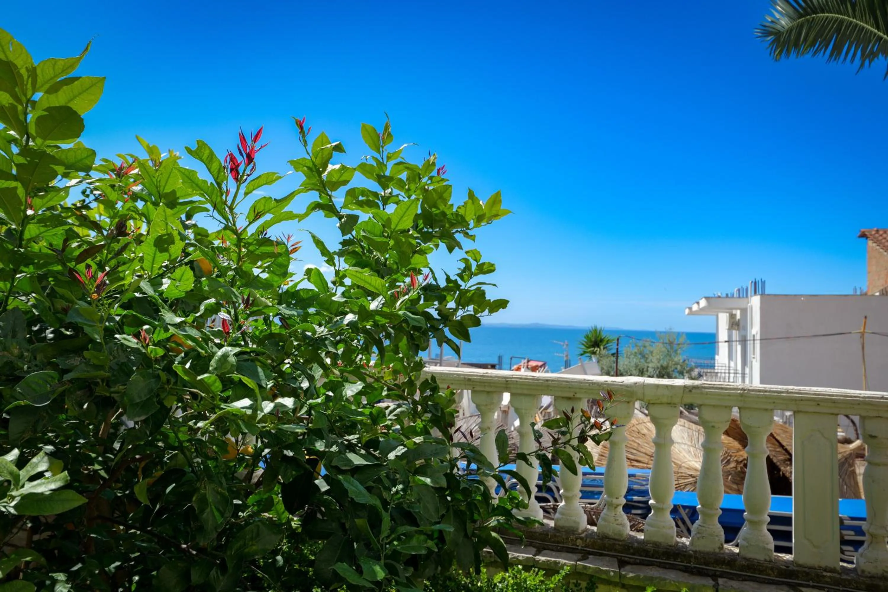 Spring in Villa Xika