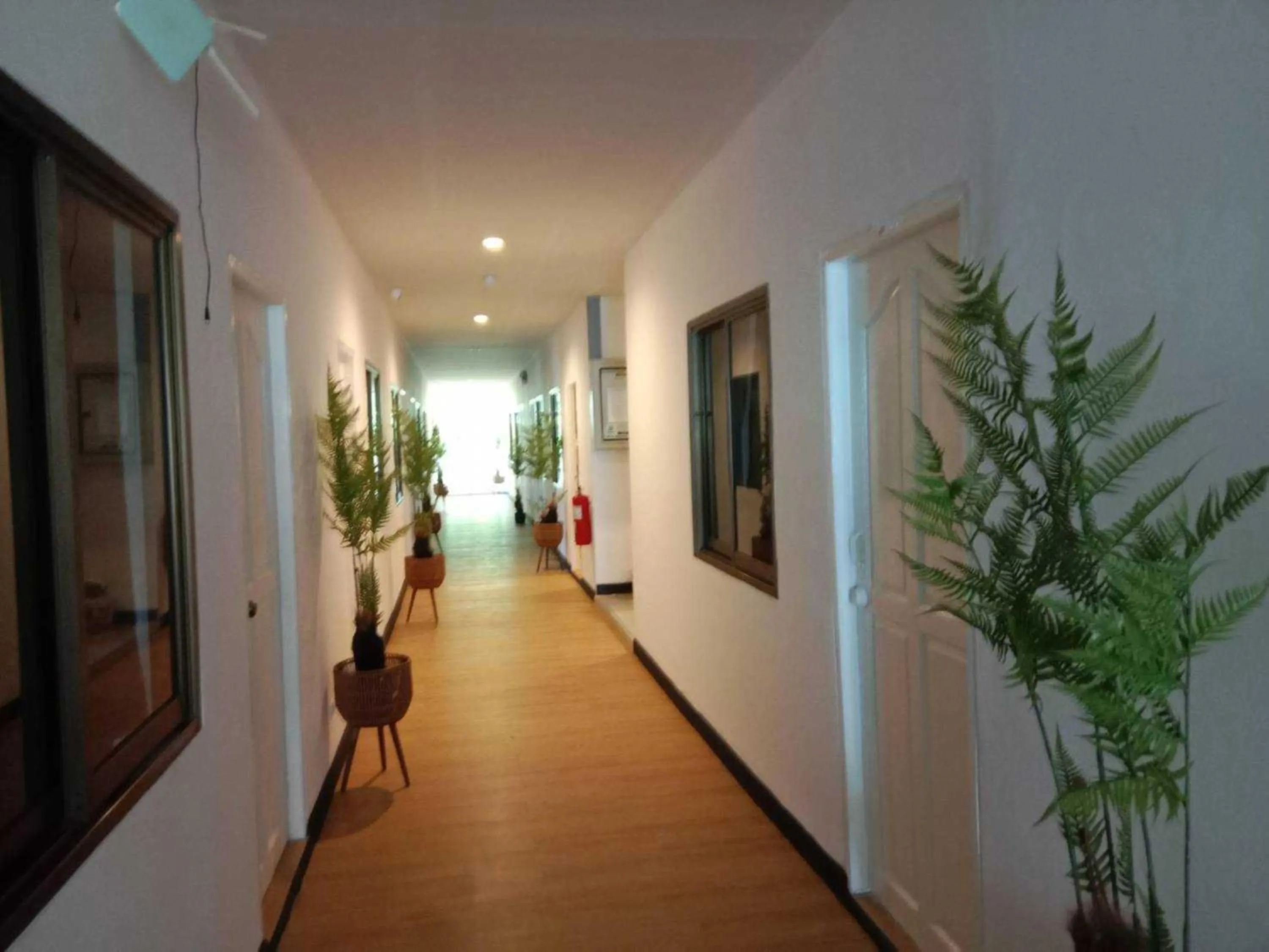 Area and facilities in RQ Phuket Patong Beach by Collection O