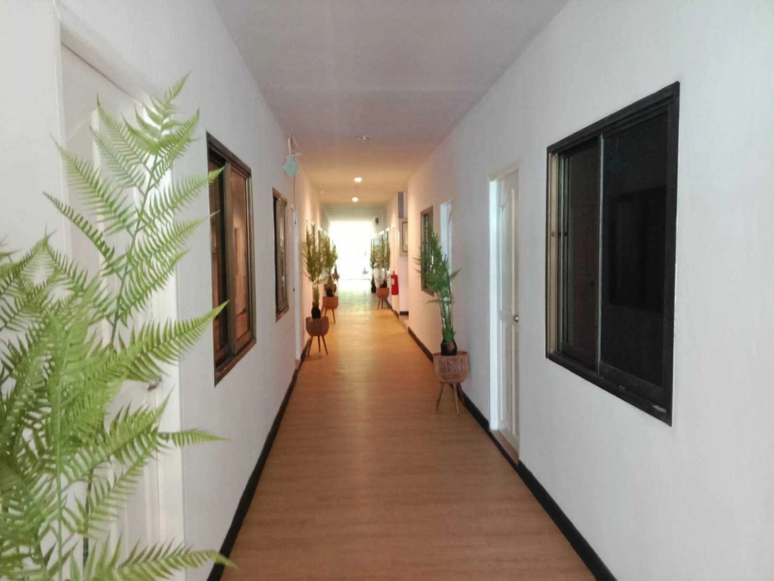 Area and facilities in RQ Phuket Patong Beach by Collection O