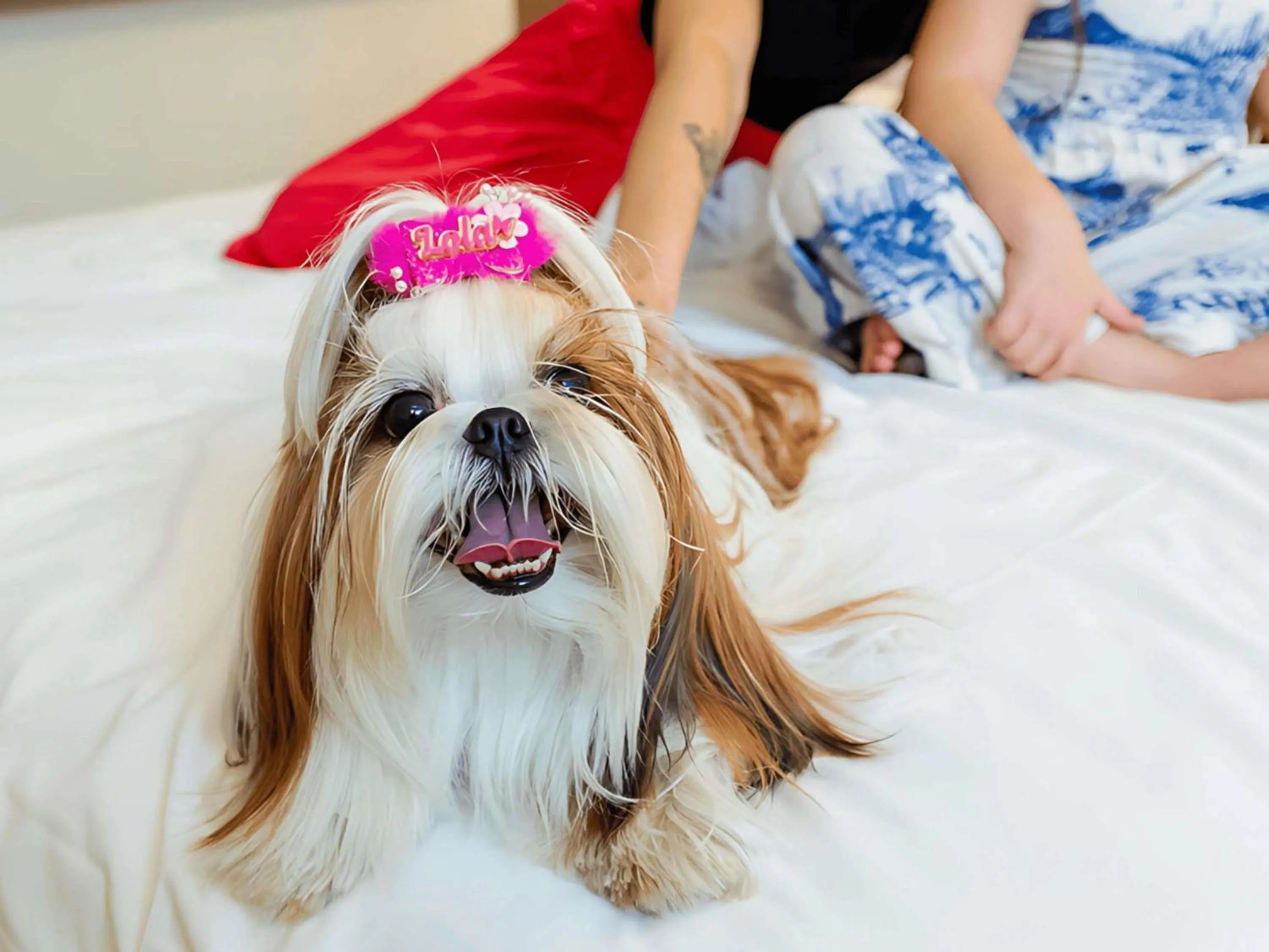 Bedroom in Ibis Styles Macaé