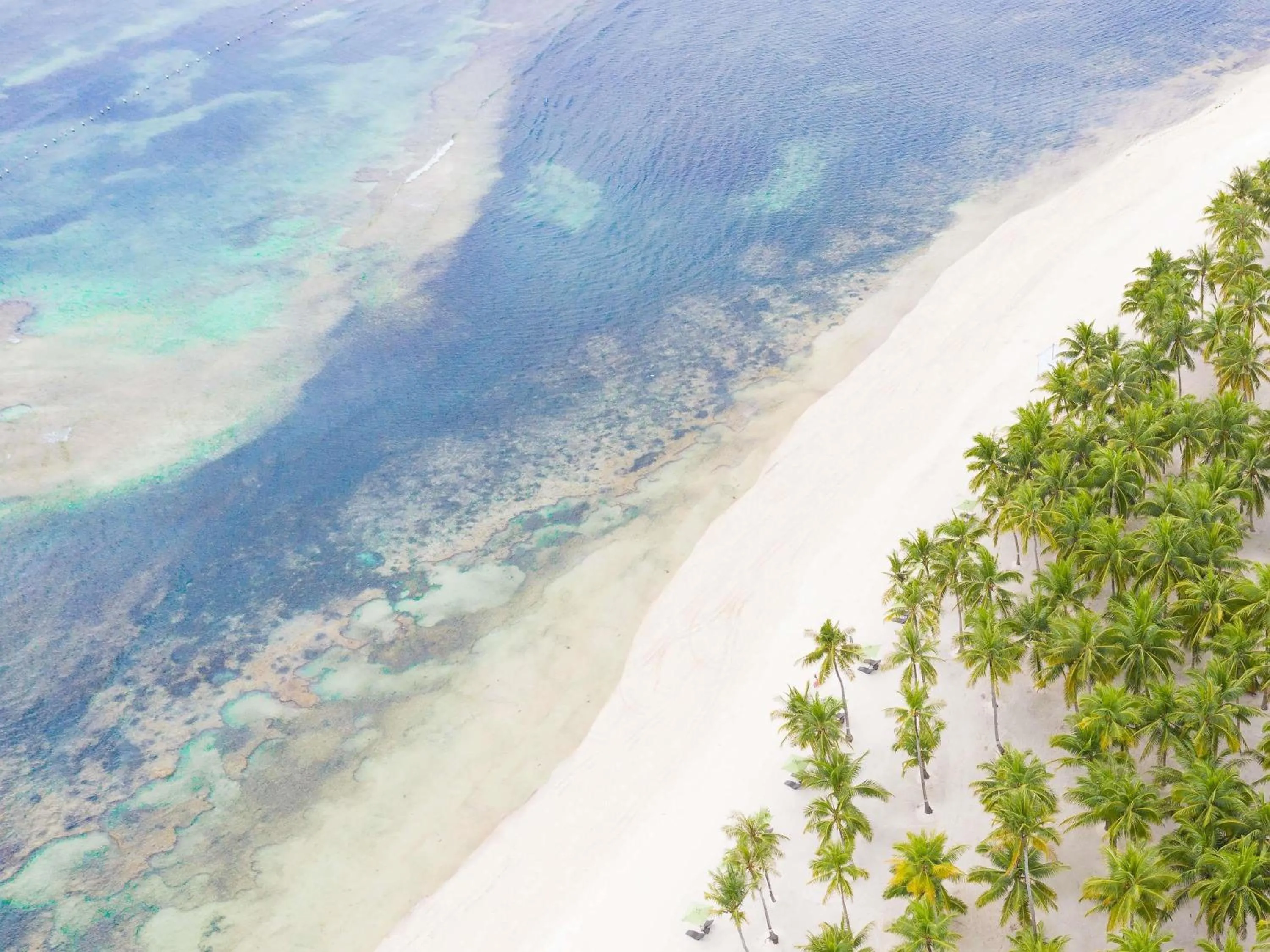 Property building in South Palms Resort and Spa Panglao - MGallery Collection