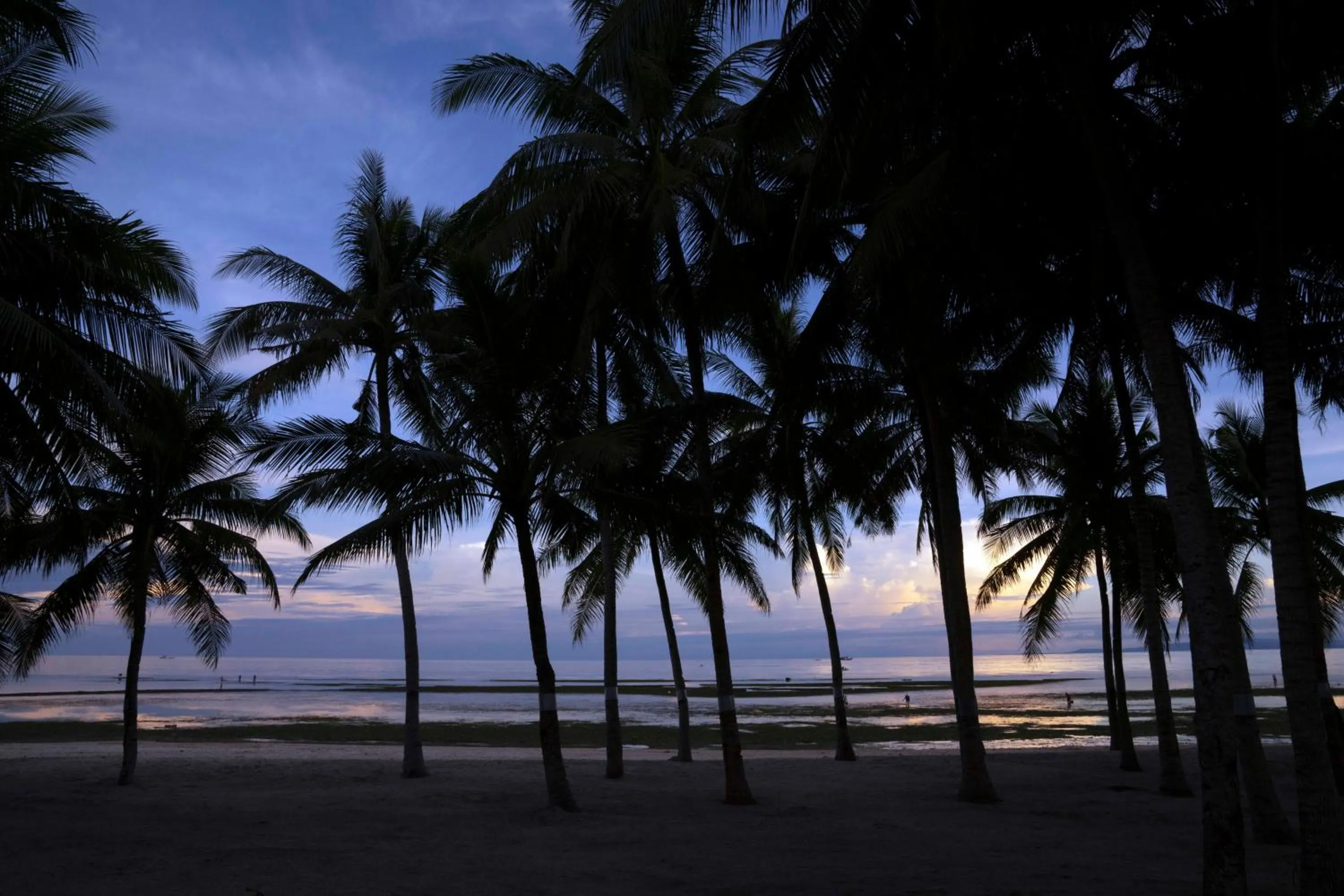 Beach in South Palms Resort and Spa Panglao - MGallery Collection