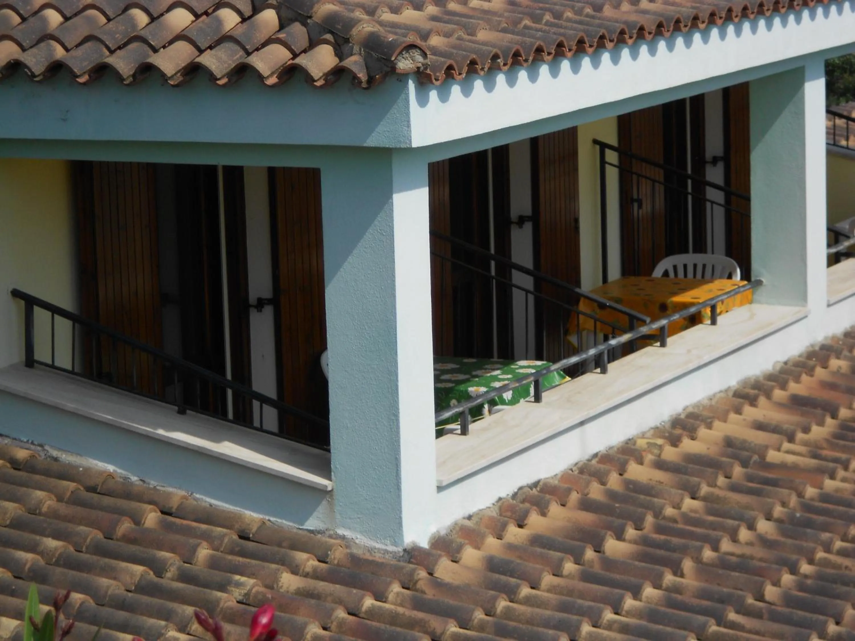 Day in La Corte Degli Ulivi