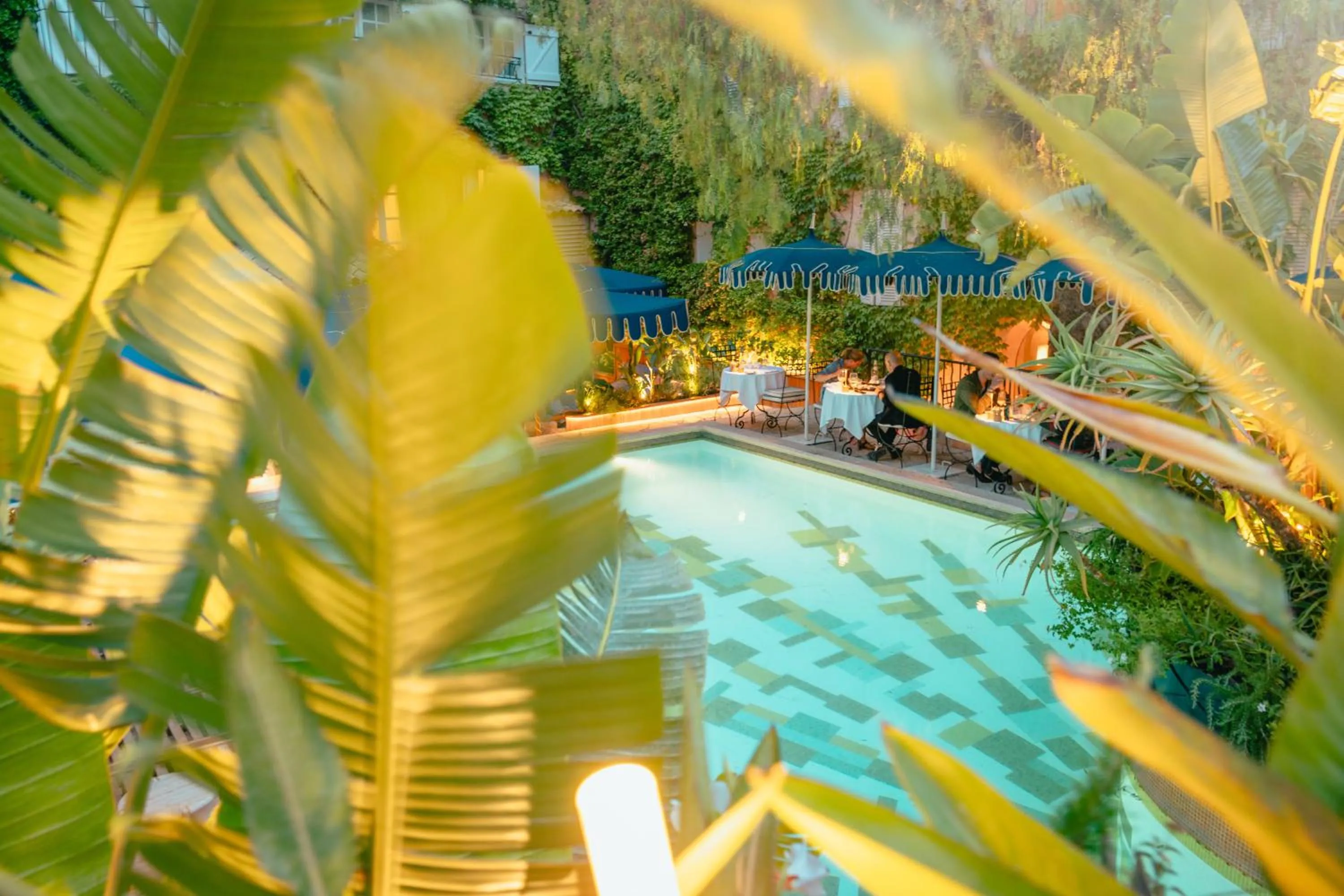 Restaurant/places to eat in Le Yaca Saint-Tropez