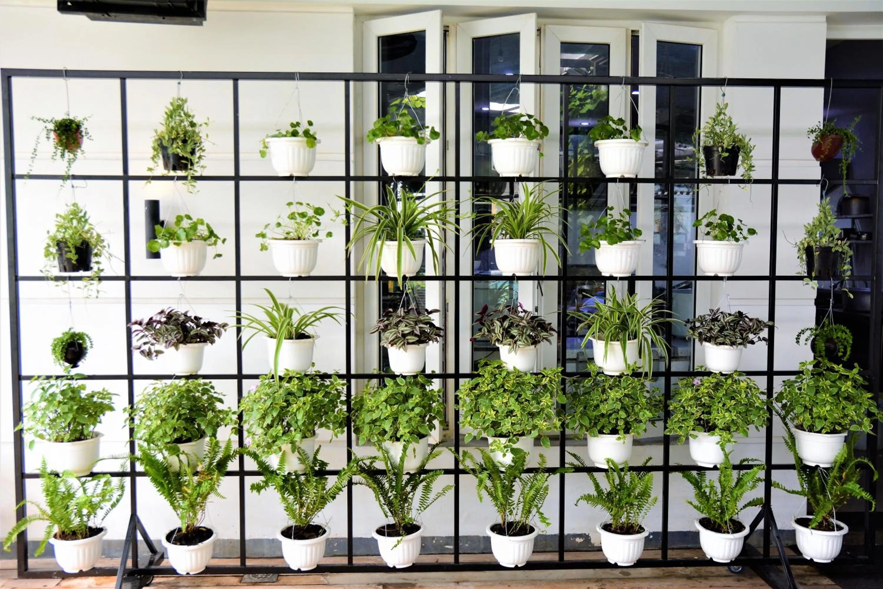 Garden in Palmier Hotel - Art House Da Nang