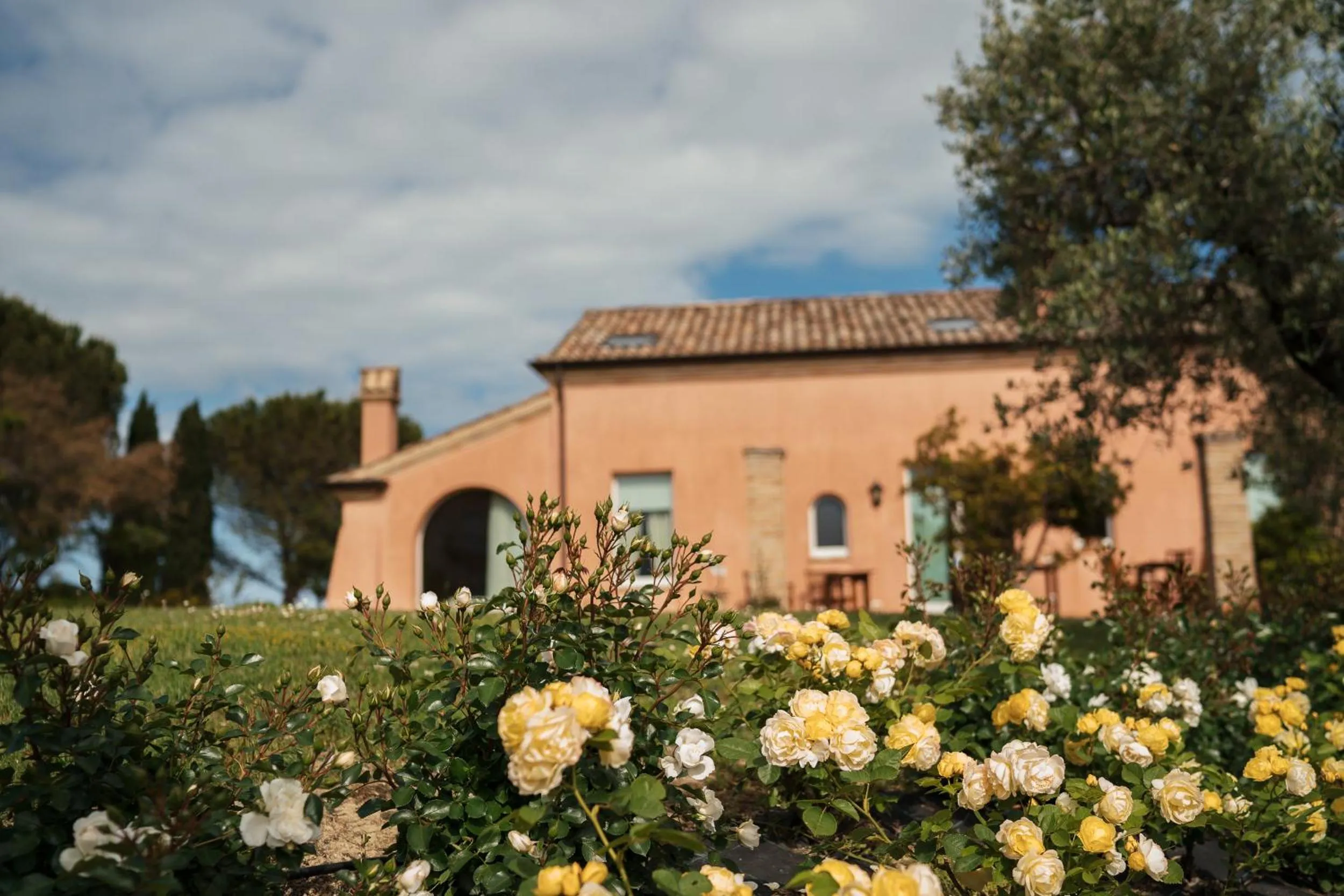 Garden in Nontiscordardimé B&B Villa Agriturismo