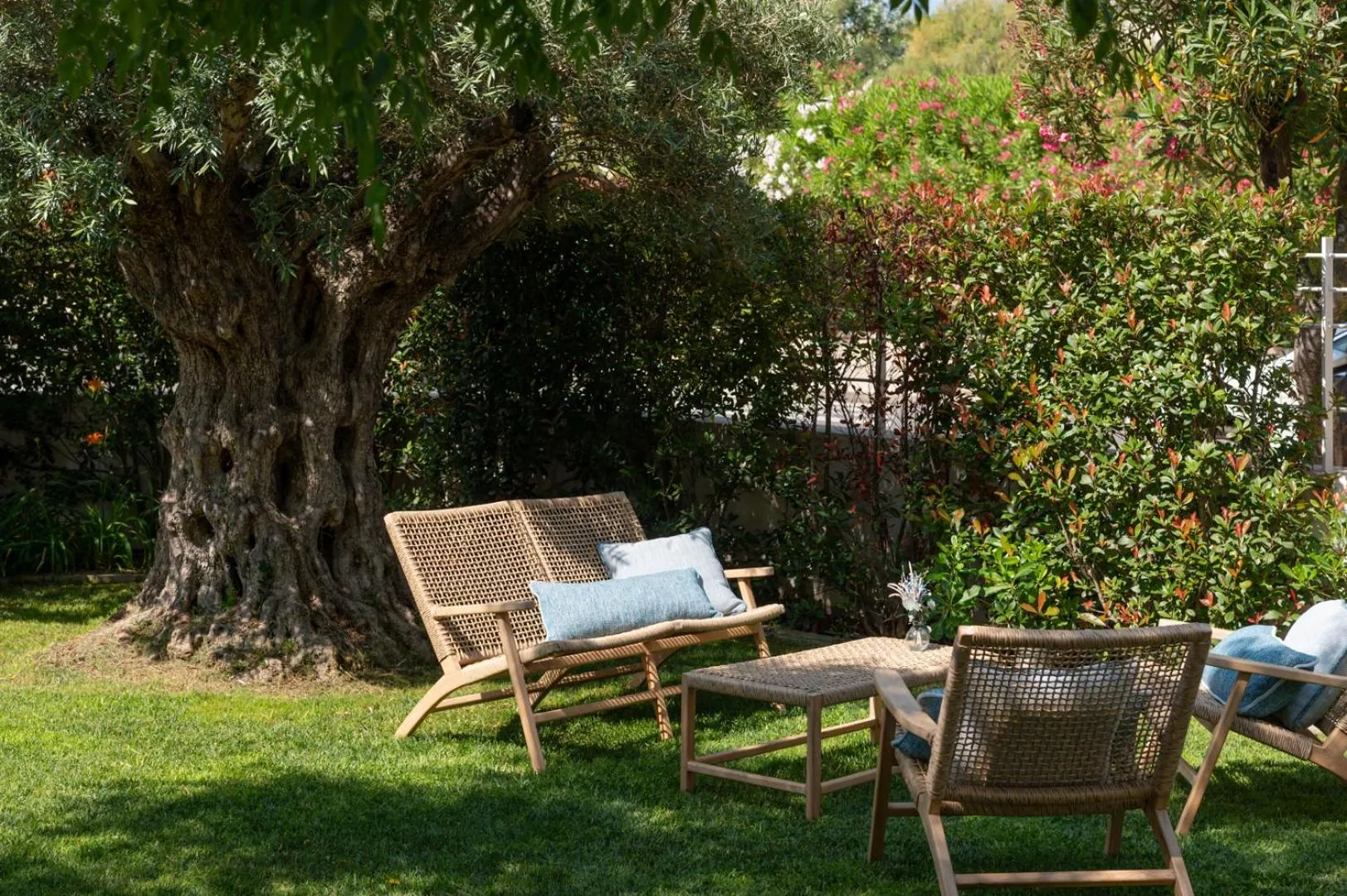 Garden in 1935 Hotel Boutique & Apartments - Adults Only