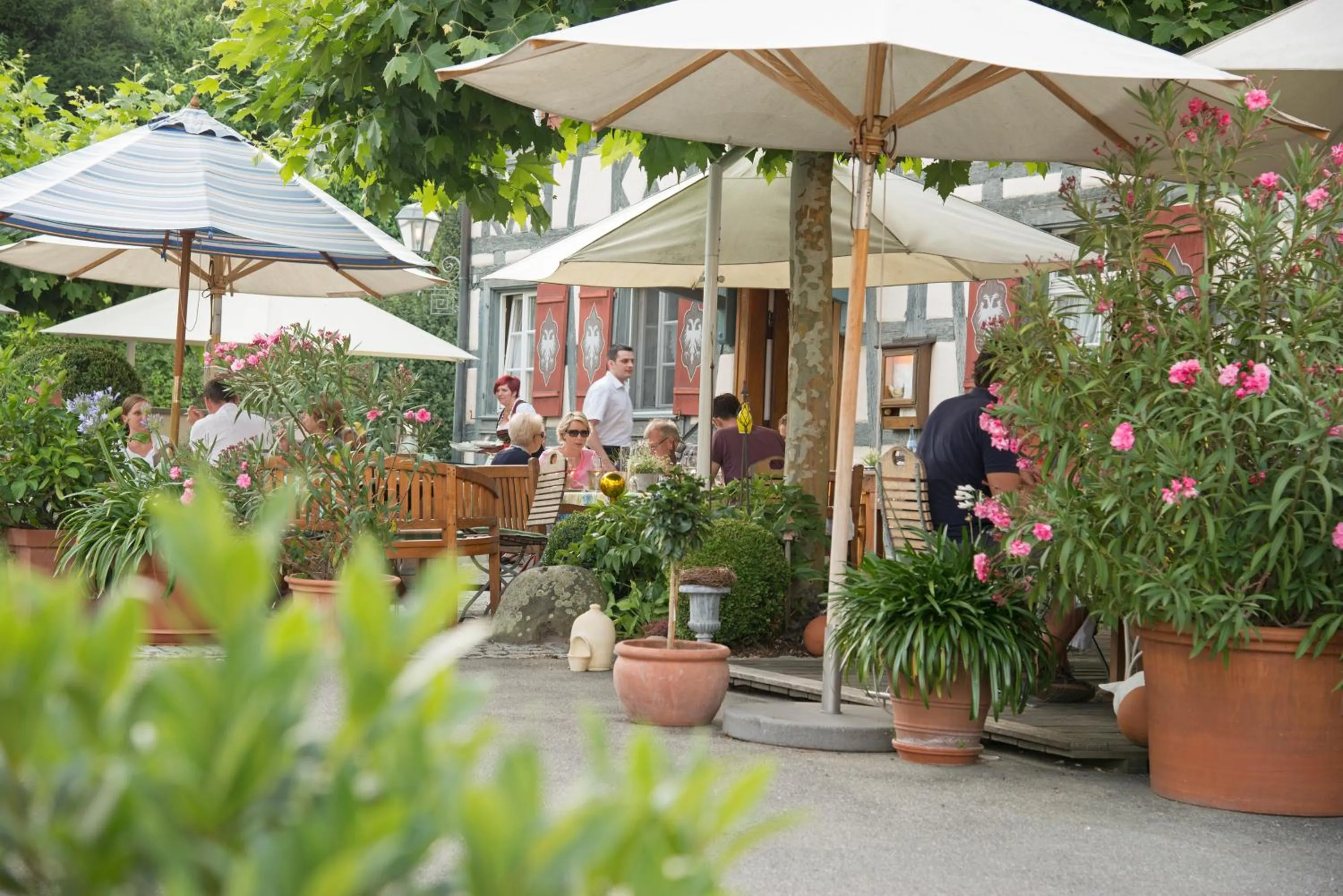 Restaurant/places to eat in Landgasthof zum Adler