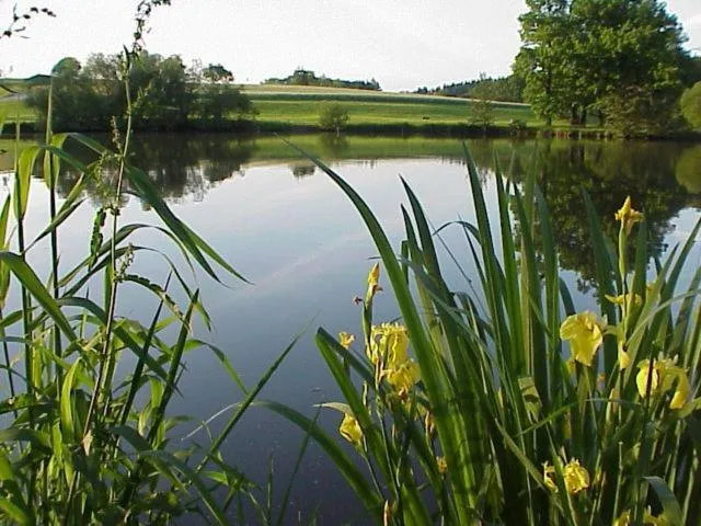 Day in See-Hotel Storchenmuehle