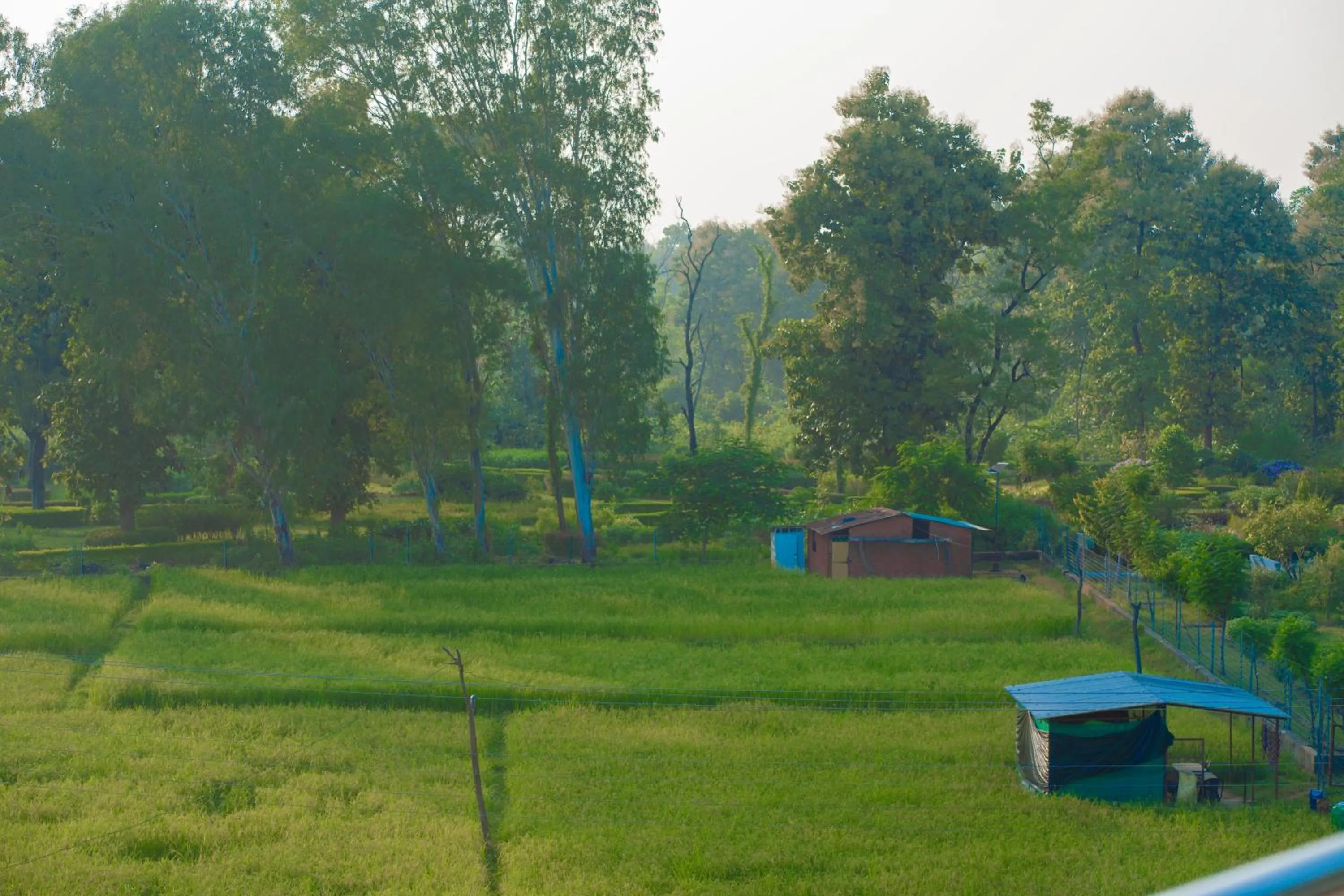 Corbett Cottage Resort