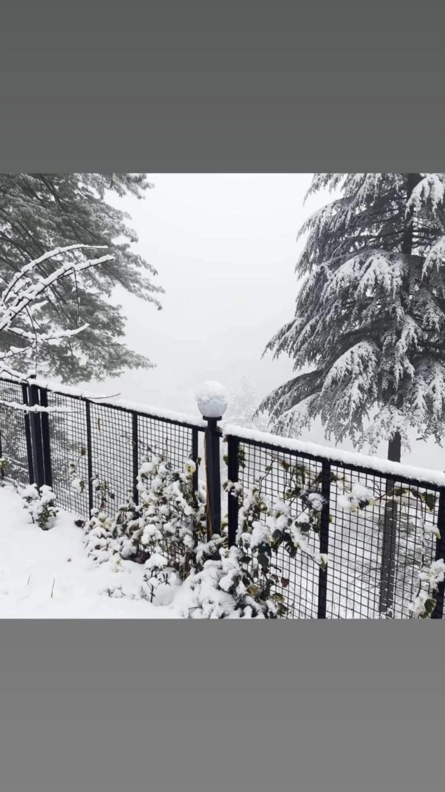 Day in Majestic View Cottages