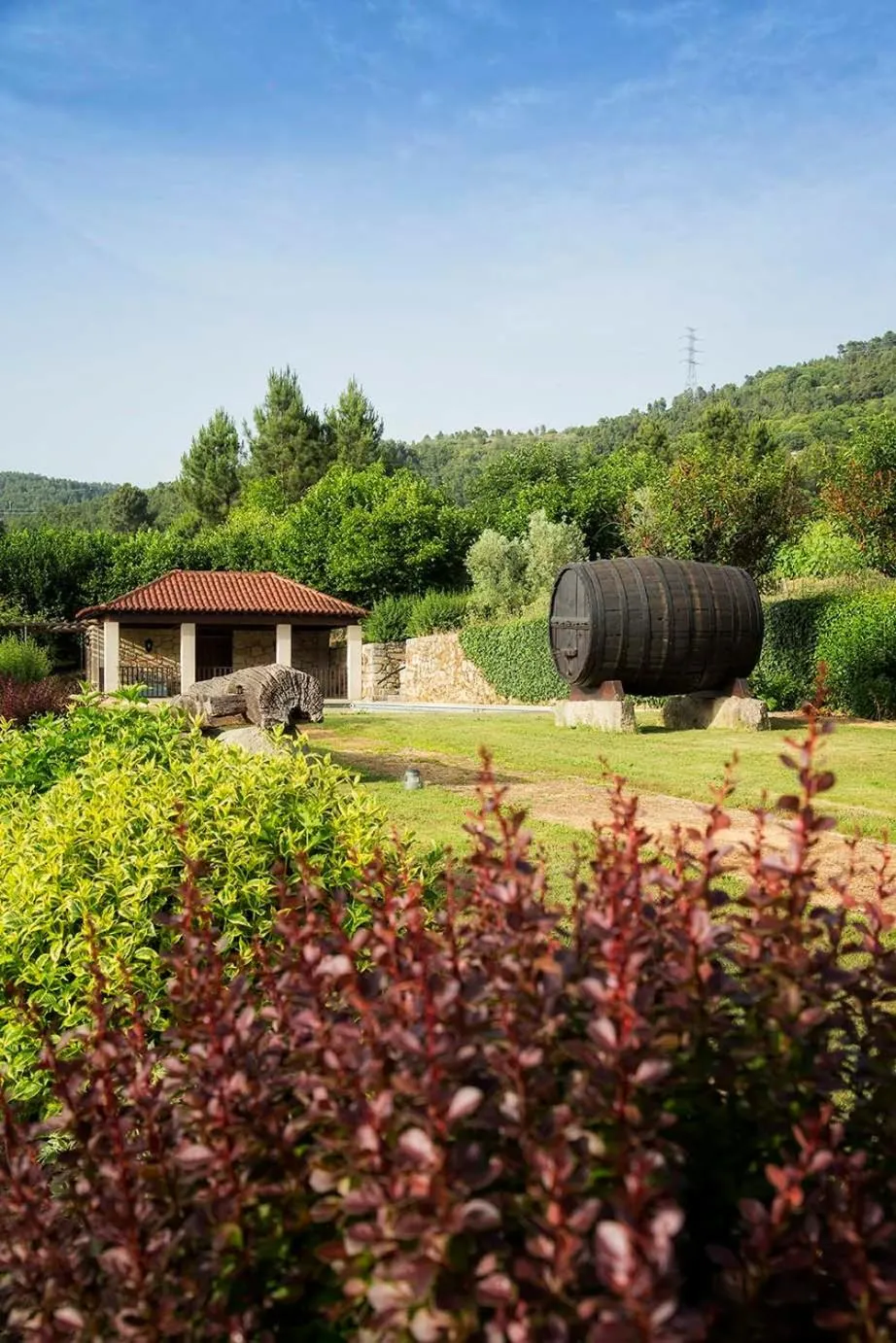 Garden in Casas da Memória