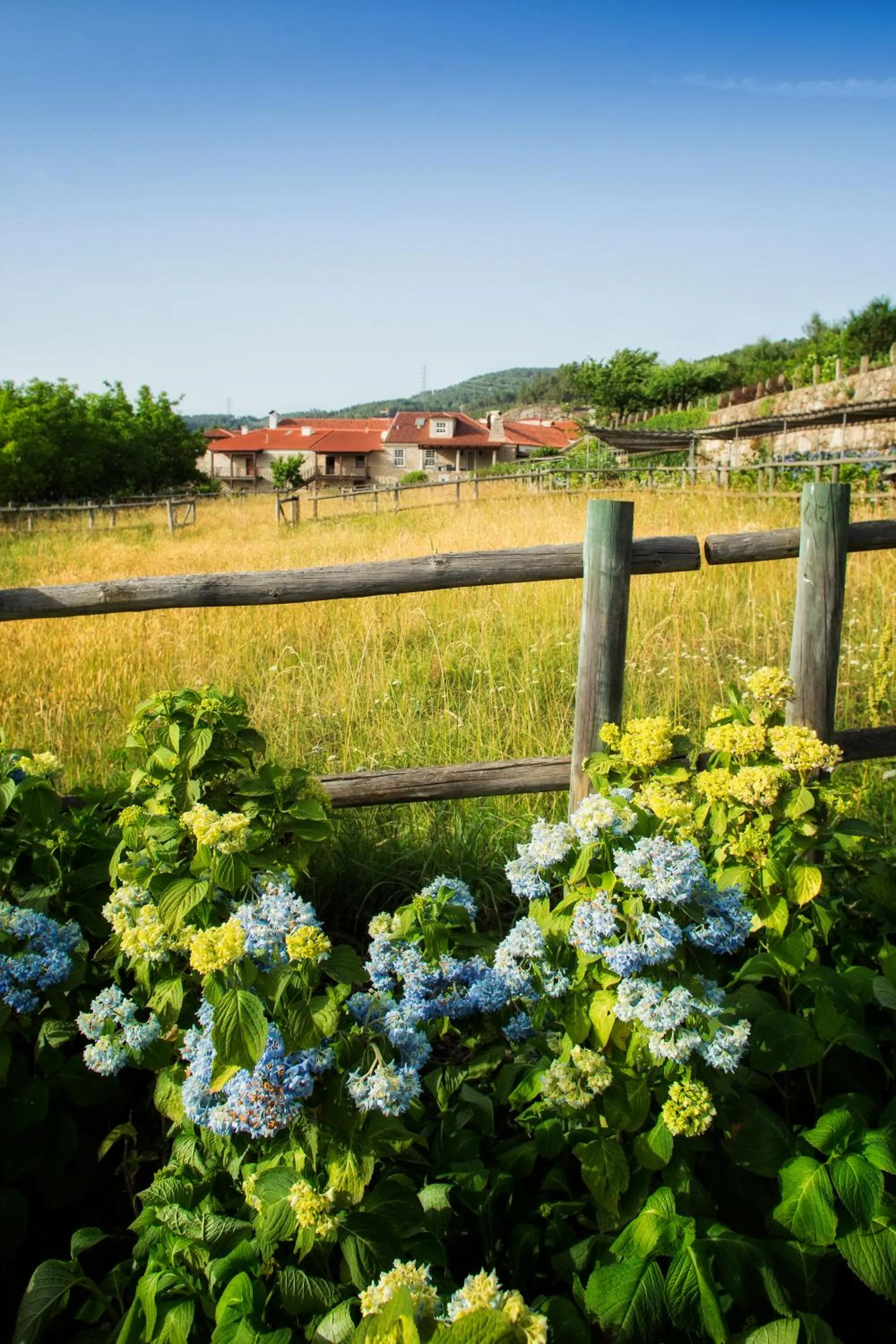 Spring in Casas da Memória