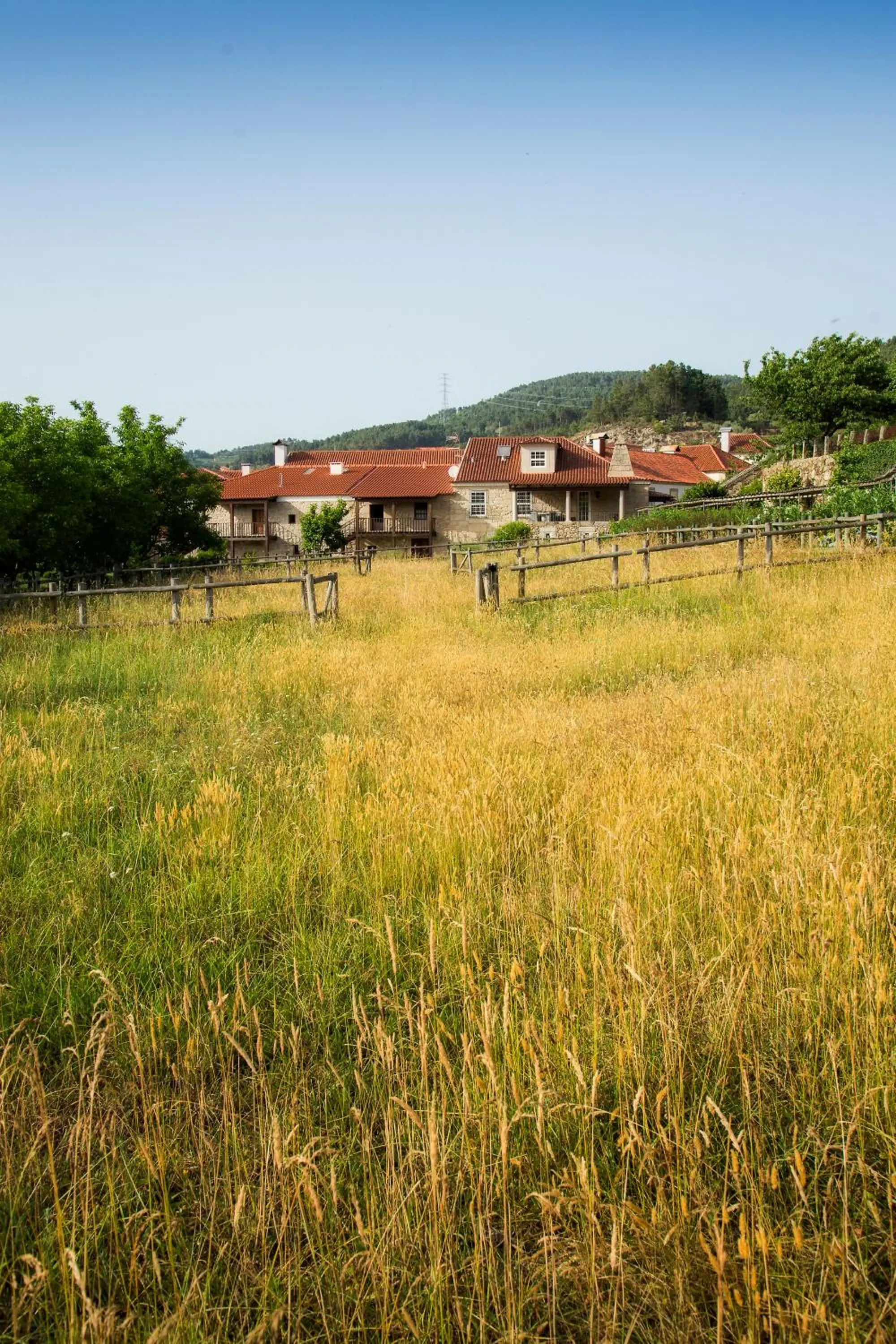 Day in Casas da Memória