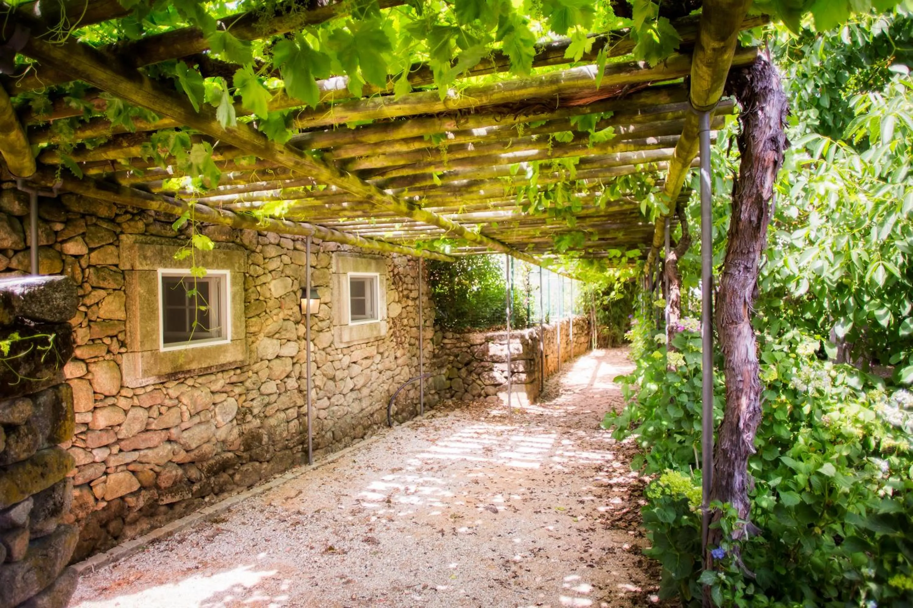 Spring in Casas da Memória