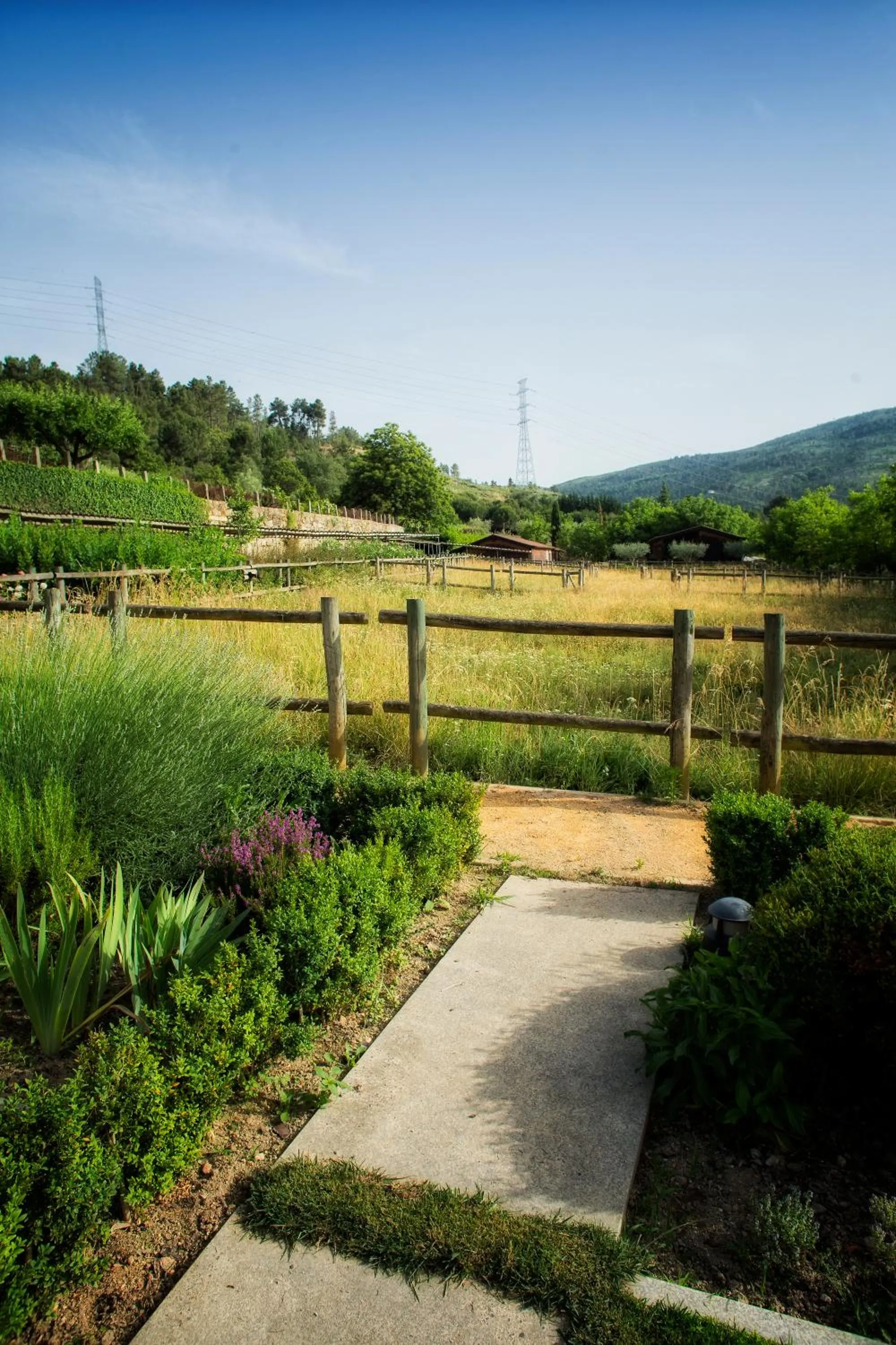 Day in Casas da Memória