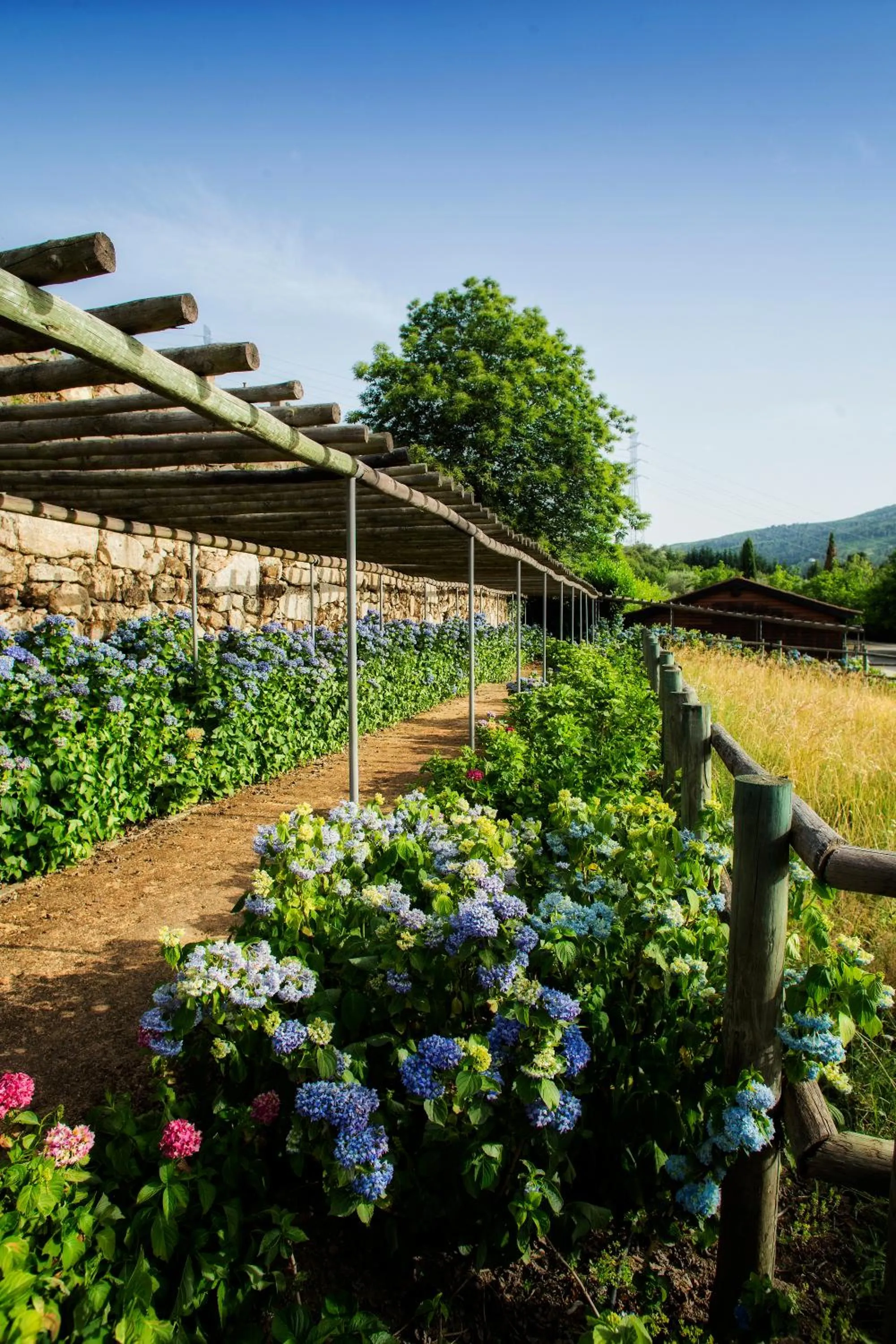 Spring in Casas da Memória