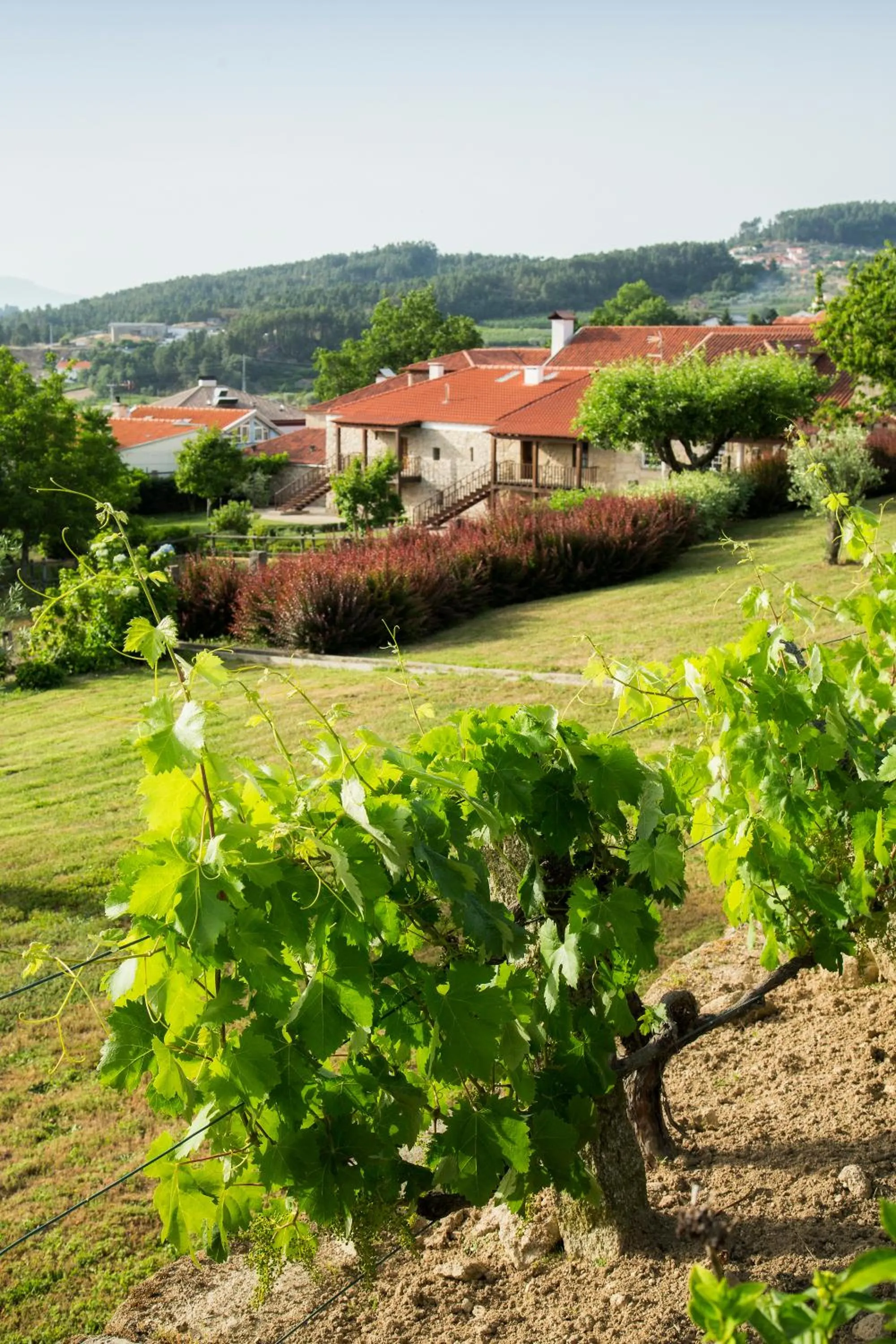 Property building in Casas da Memória