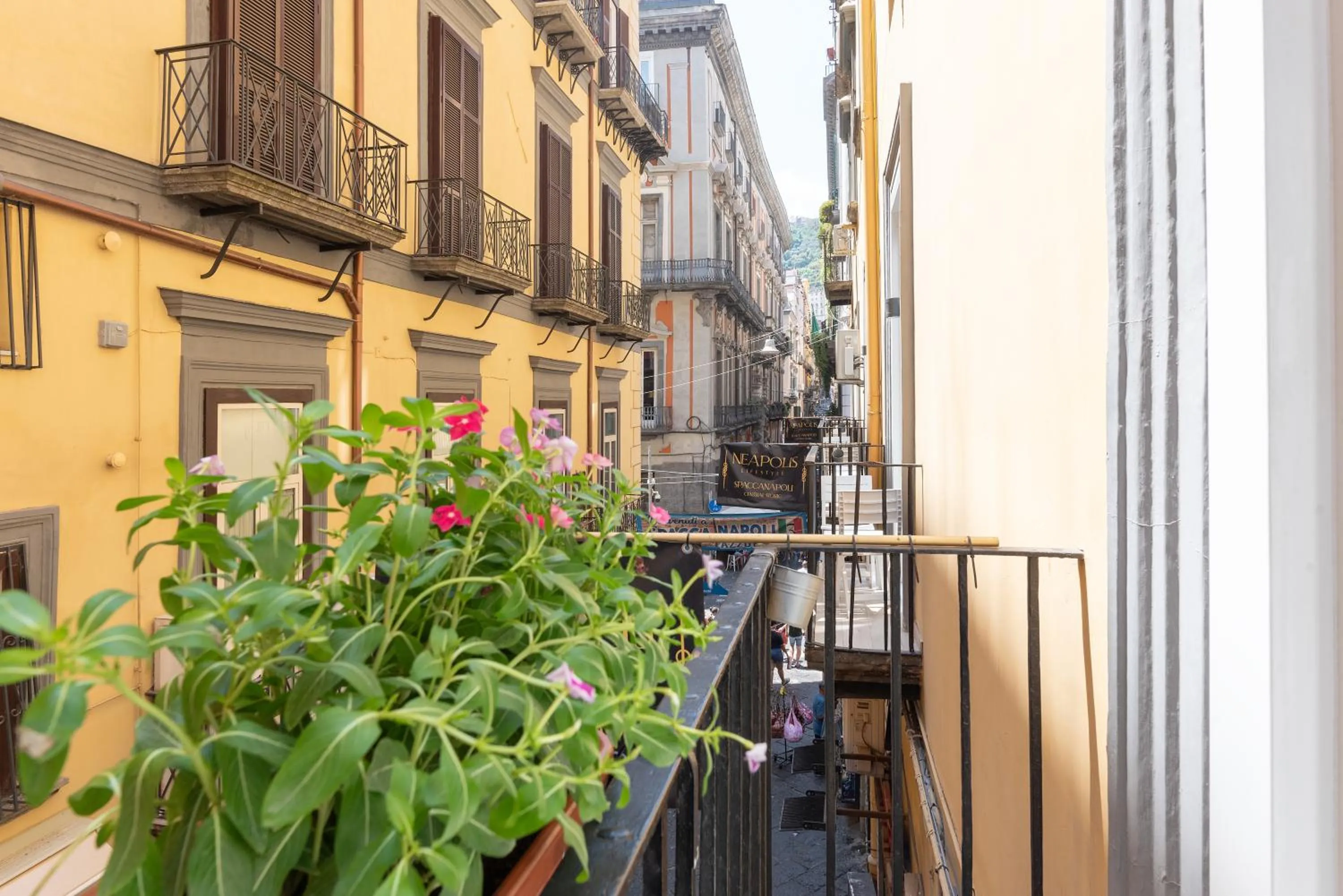 Neighbourhood in Neapolis Lifestyle